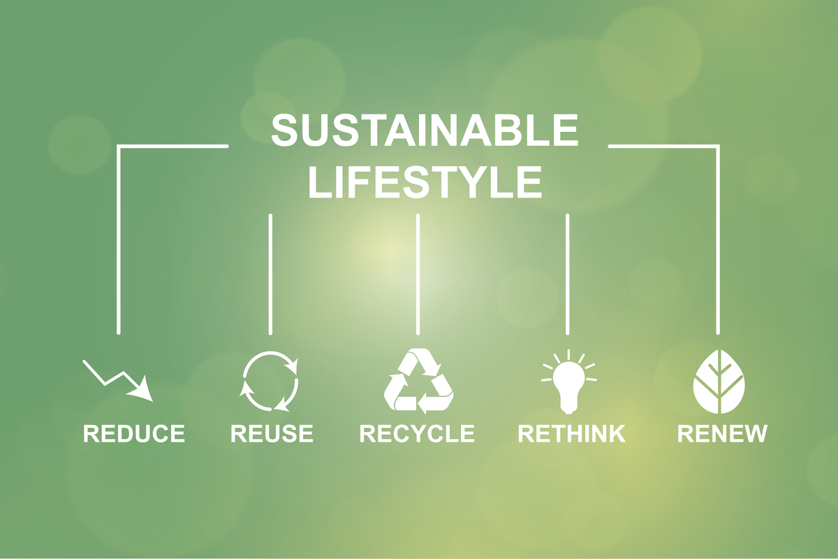 ecovadis需要注意什么