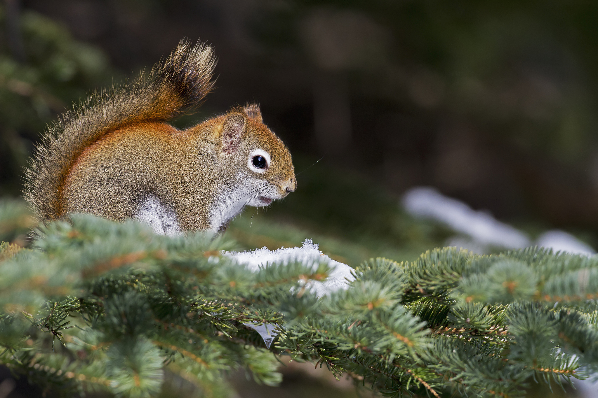 肇庆市三只松鼠仓库管理优化问题第三通过调查问卷法：