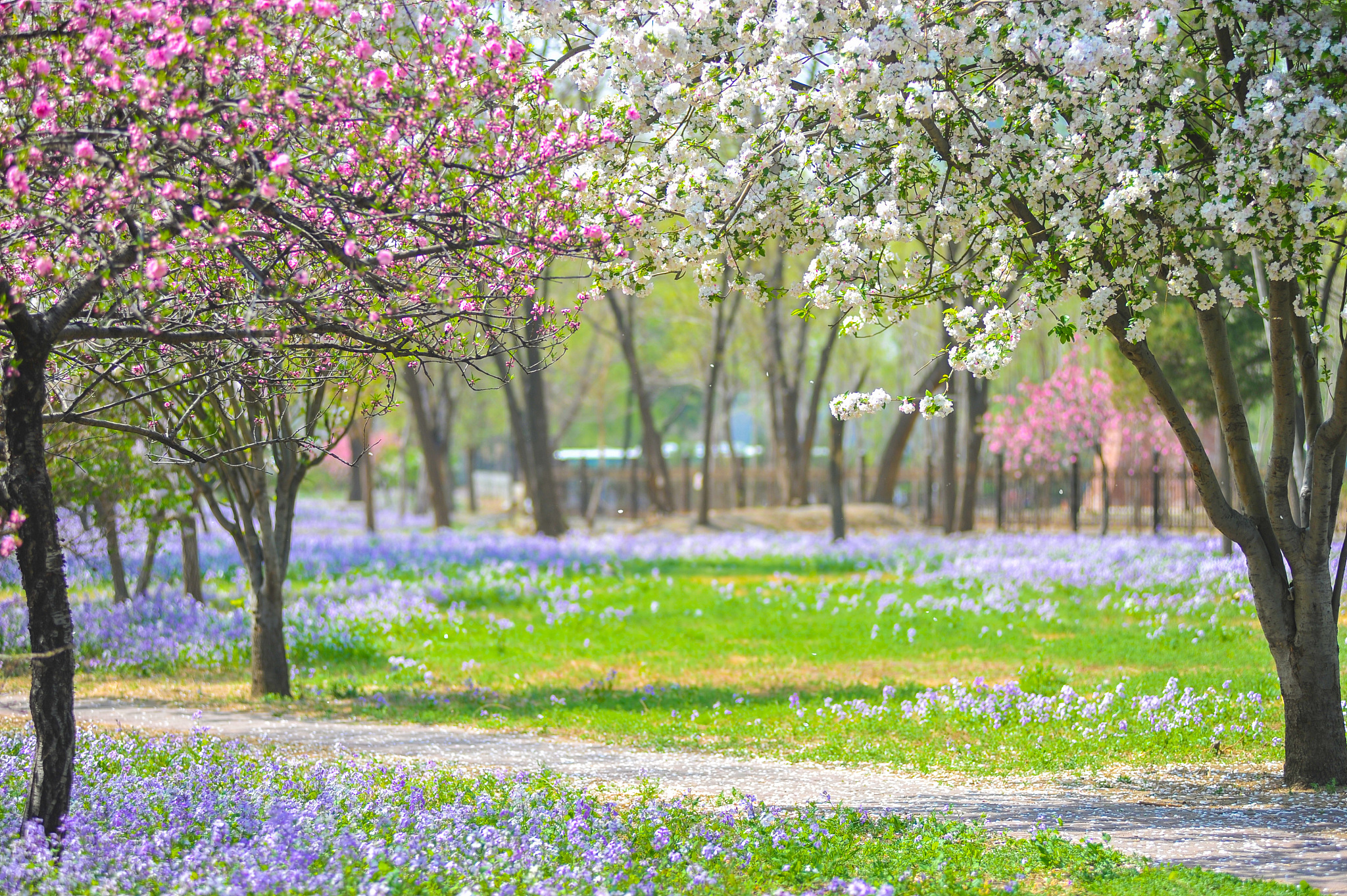 春天 朋友圈1 春天来了花开满园让我们一起享受这美好的季节吧！2 春天的风景真美让人感到无限的喜悦和幸福。3 春天是个充满生机和希望的季节让我们一起迎接新的挑战和机会。4 春天是个适合出游的季节和好友一起去旅行感受大自然的美好。5 春天的阳光温暖明媚让人心情愉悦让我们一起享受这美好的时光。6 春天是个适合运动的季节和朋友一起去户外运动让身体更加健康。7 春天是个适合约会的季节和喜欢的人一起走在花海