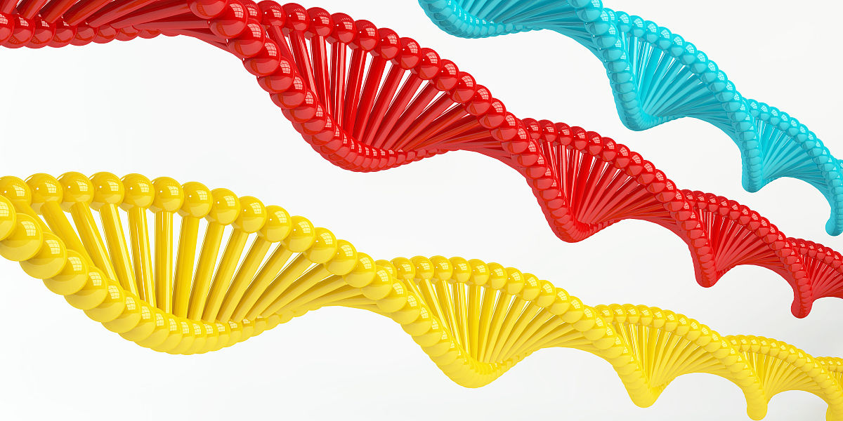 CRISPR/Cas9技术在作物改良中的应用