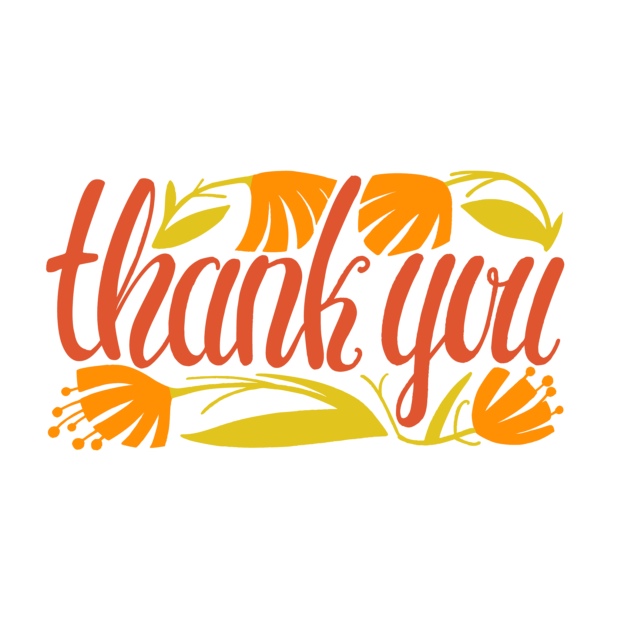 isolated thank you card hand drawn lettering