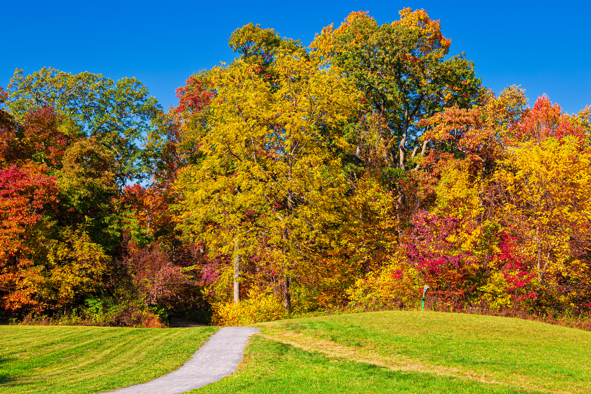 To spring to autumn to write a title for the article
