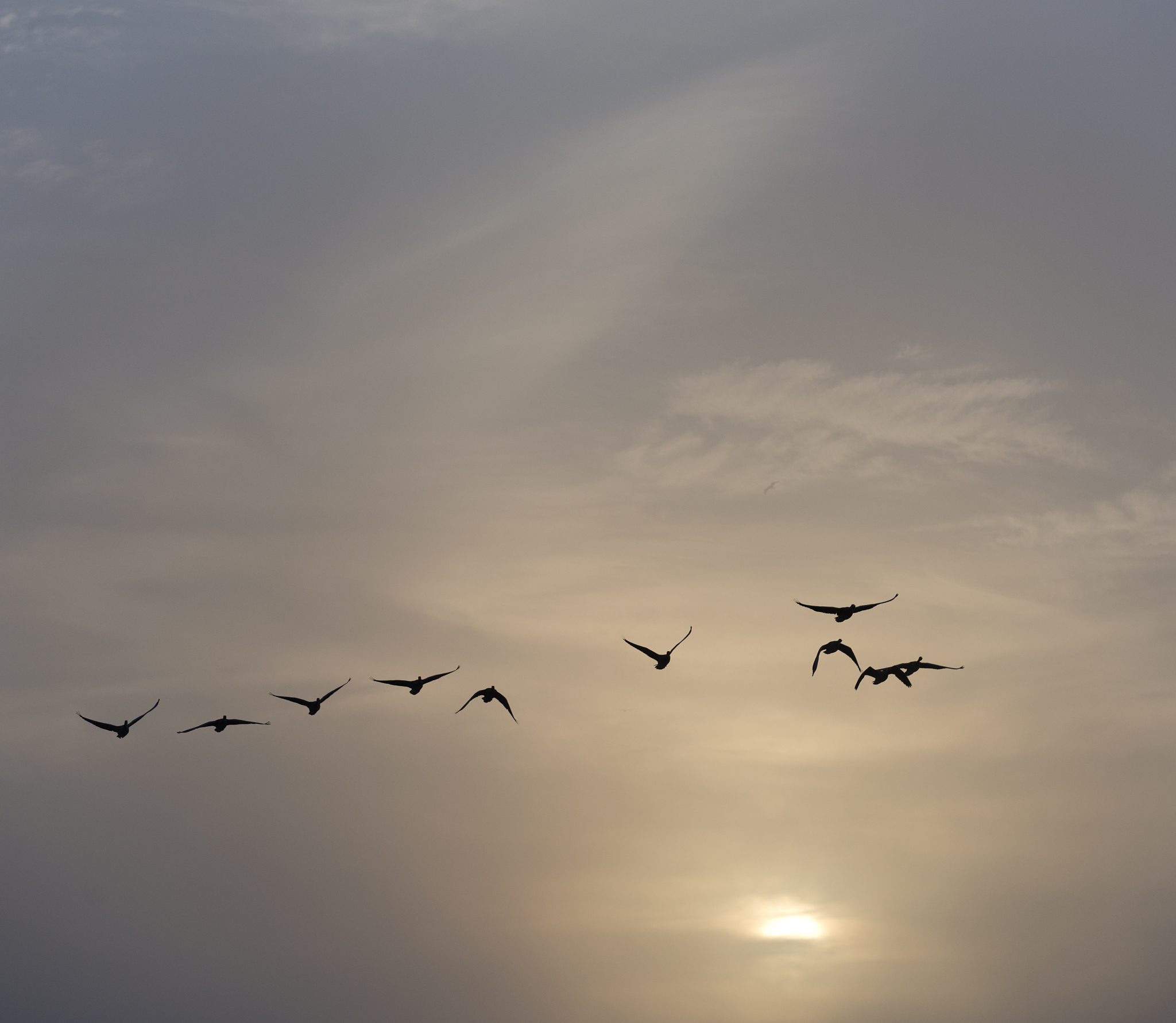 apa saja nama mata uang yang paling terbesar di dunia selain dolar