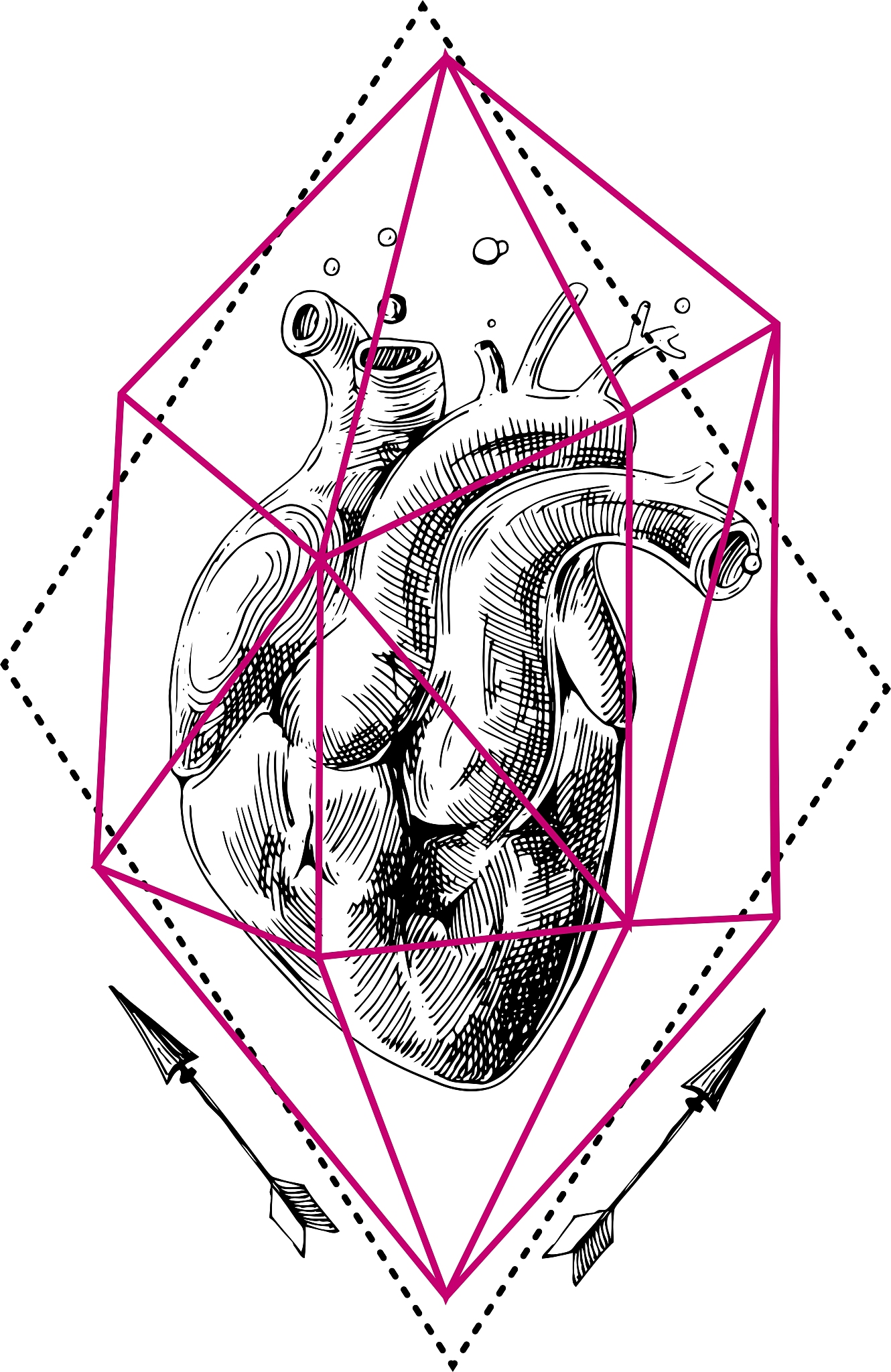 sketch of human heart