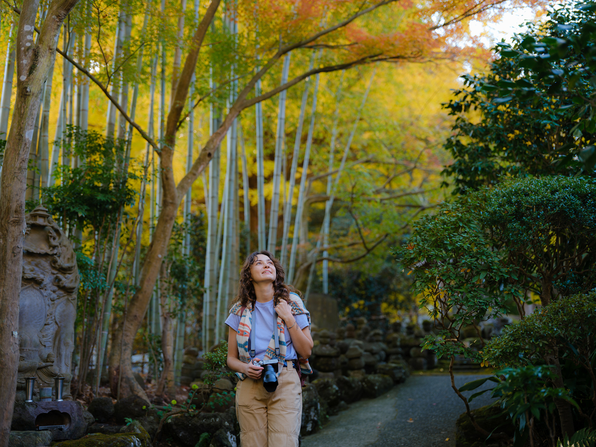 森林公园景区旅拍