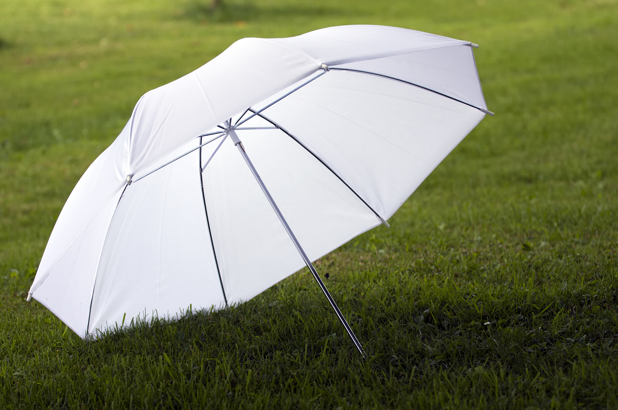 white umbrella