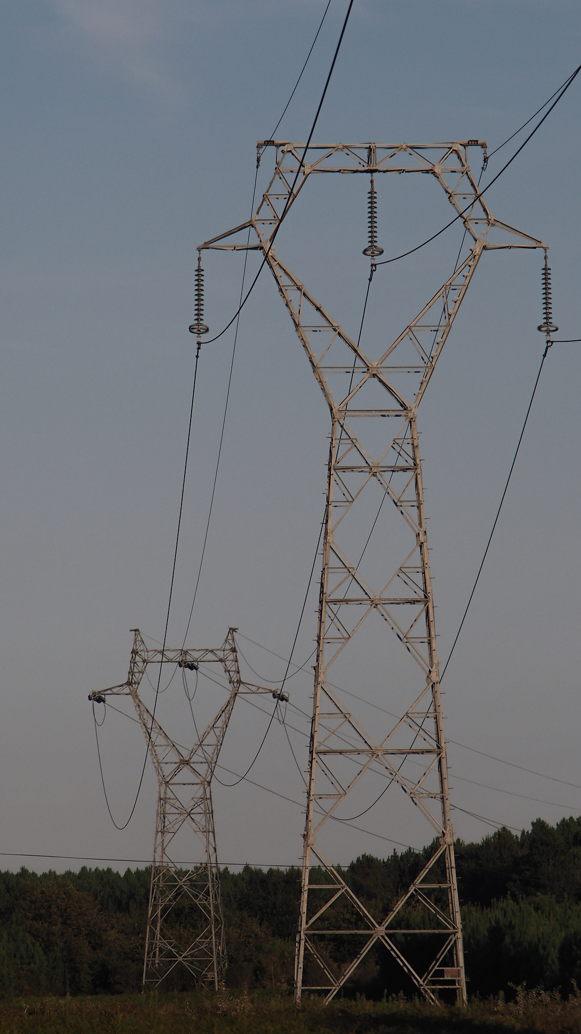 贵州五年制大专学校热门专业推荐：计算机、旅游、电子信息、环境工程