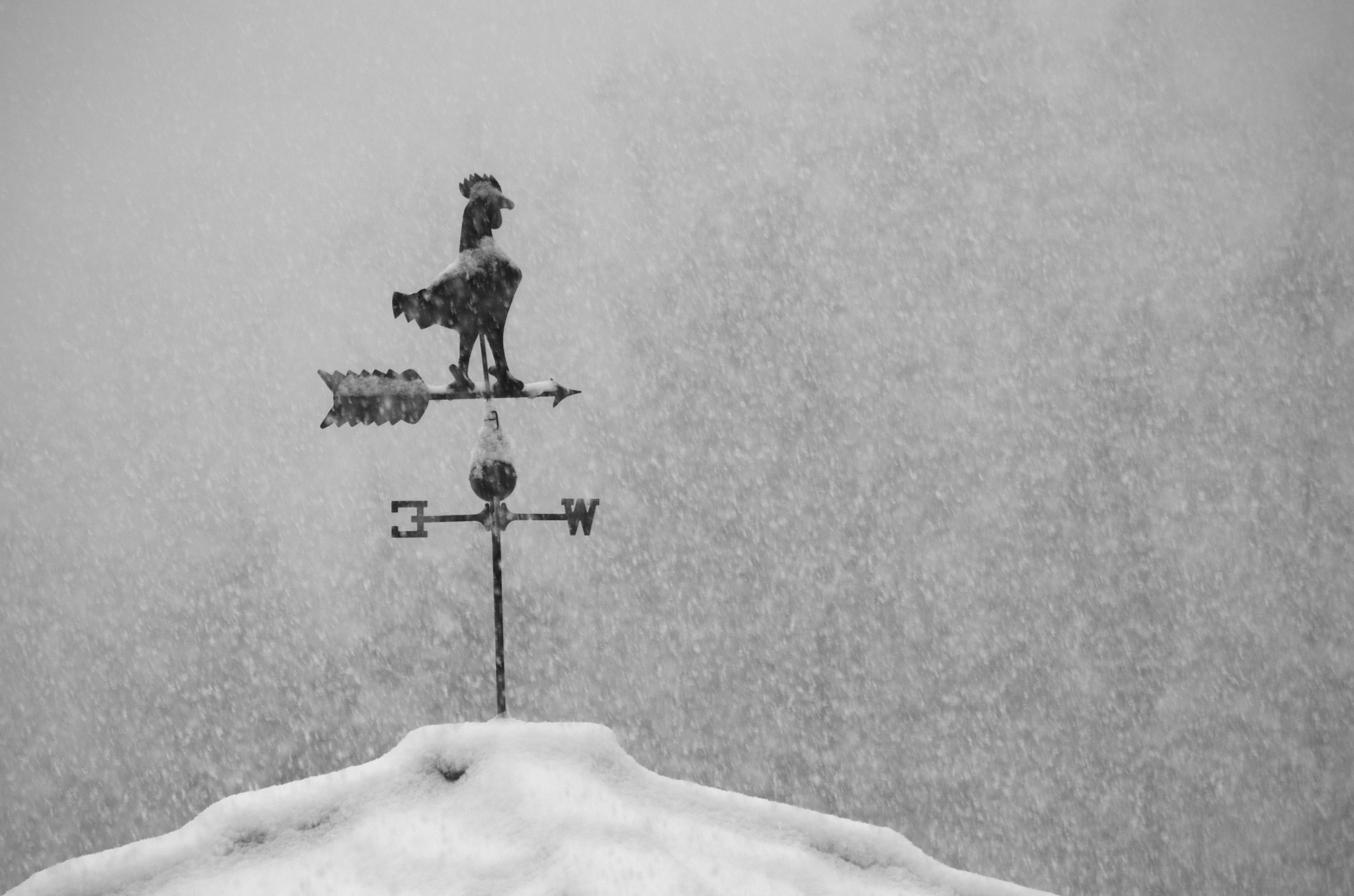 讽刺社会：现代诗歌揭露虚伪与真实