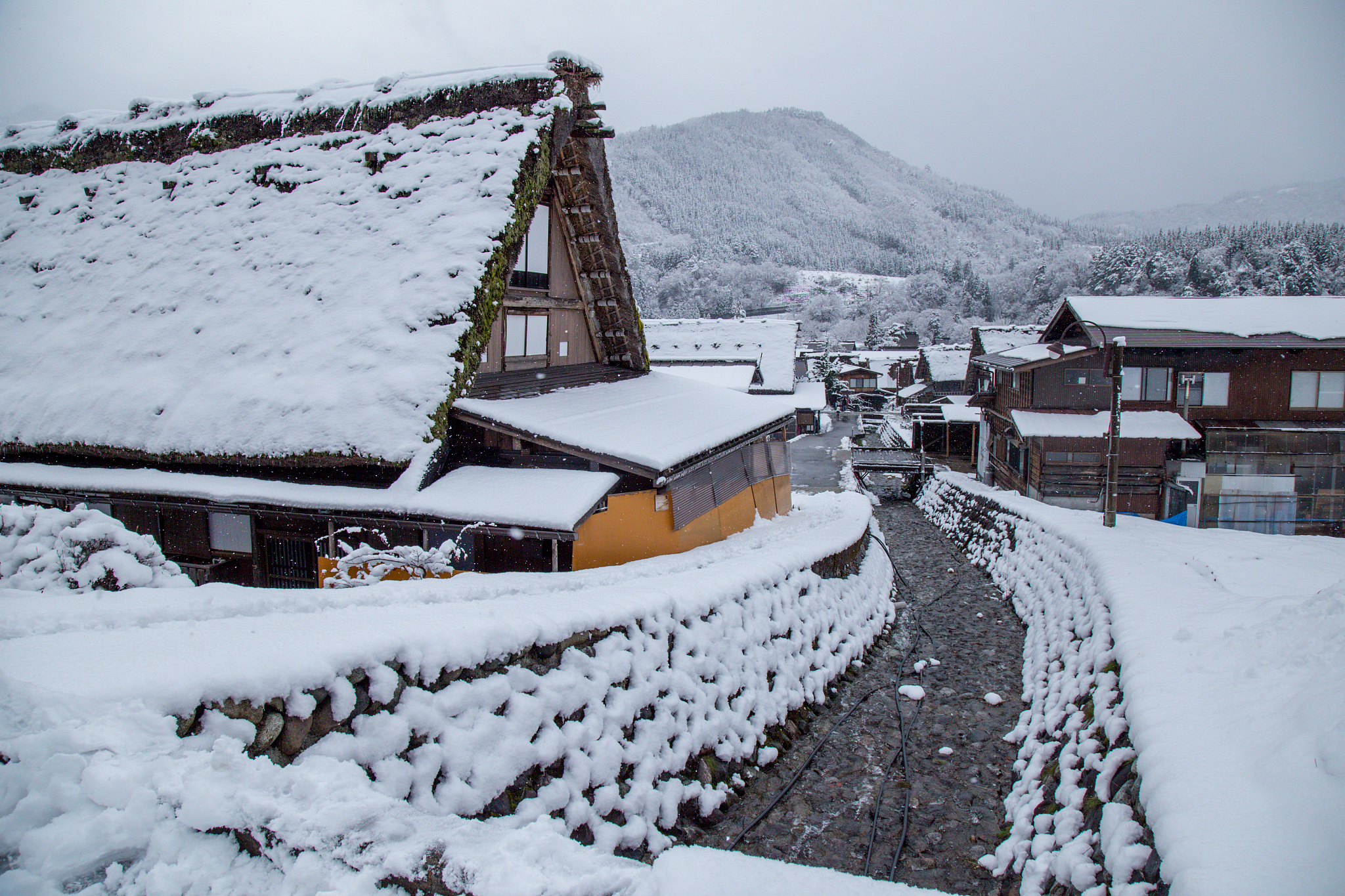 sightseeing around shirakawago village area with snow cover