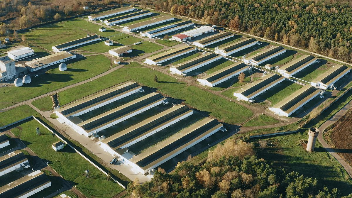 优化畜禽养殖空间布局