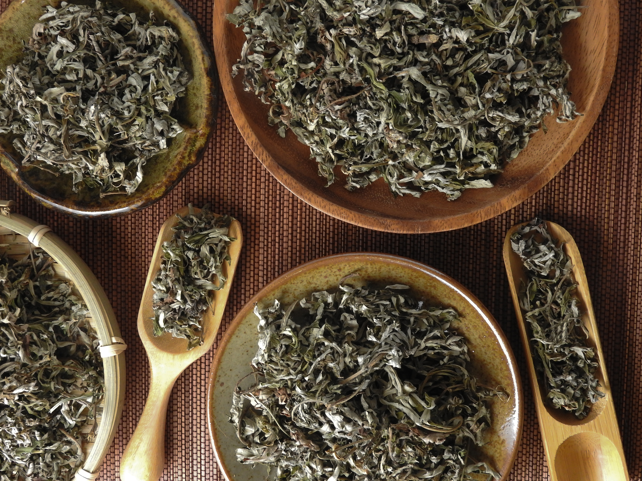 重庆三峡医药高专中医骨伤专业招生 - 2020年招生简章