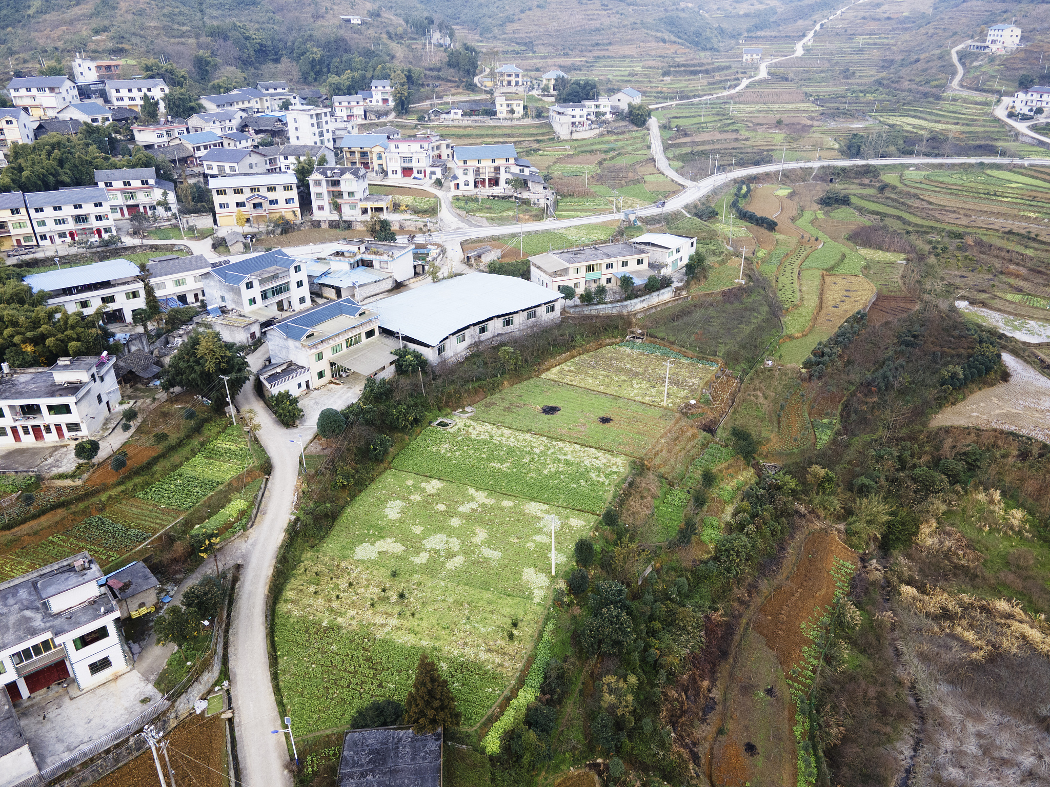 中国共同富裕：以云南彝族村寨为例