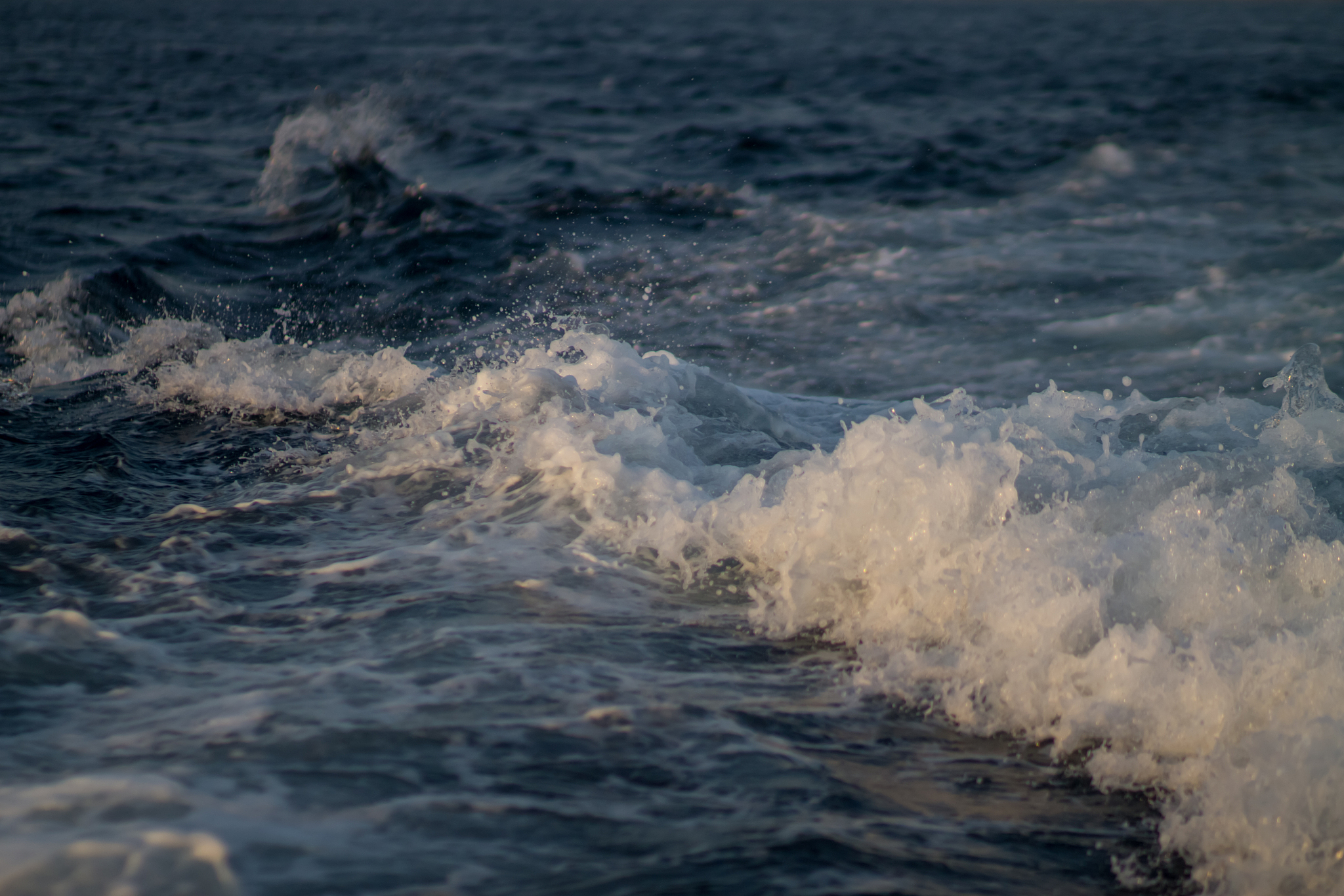 秦皇岛海港区每天赶海时间