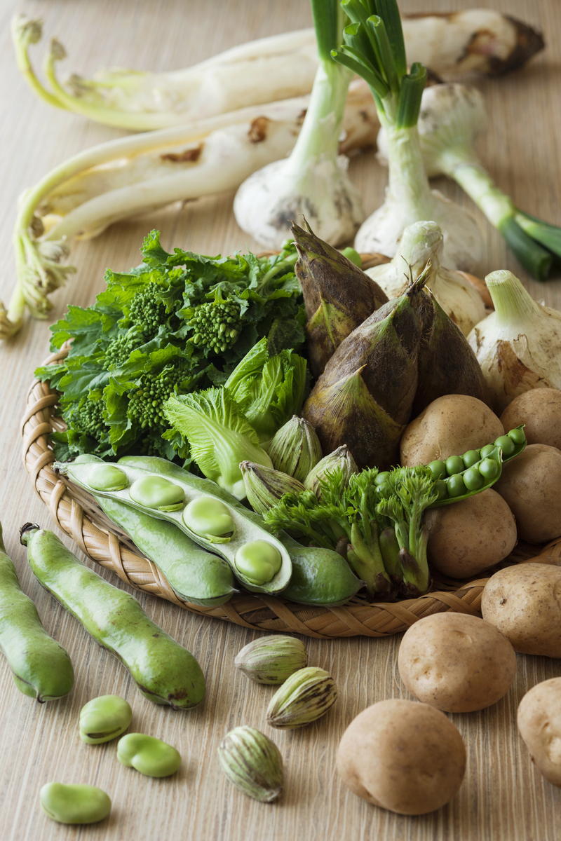 Plant-Based Diet with White Meat: A Balanced Approach to Vegetarianism