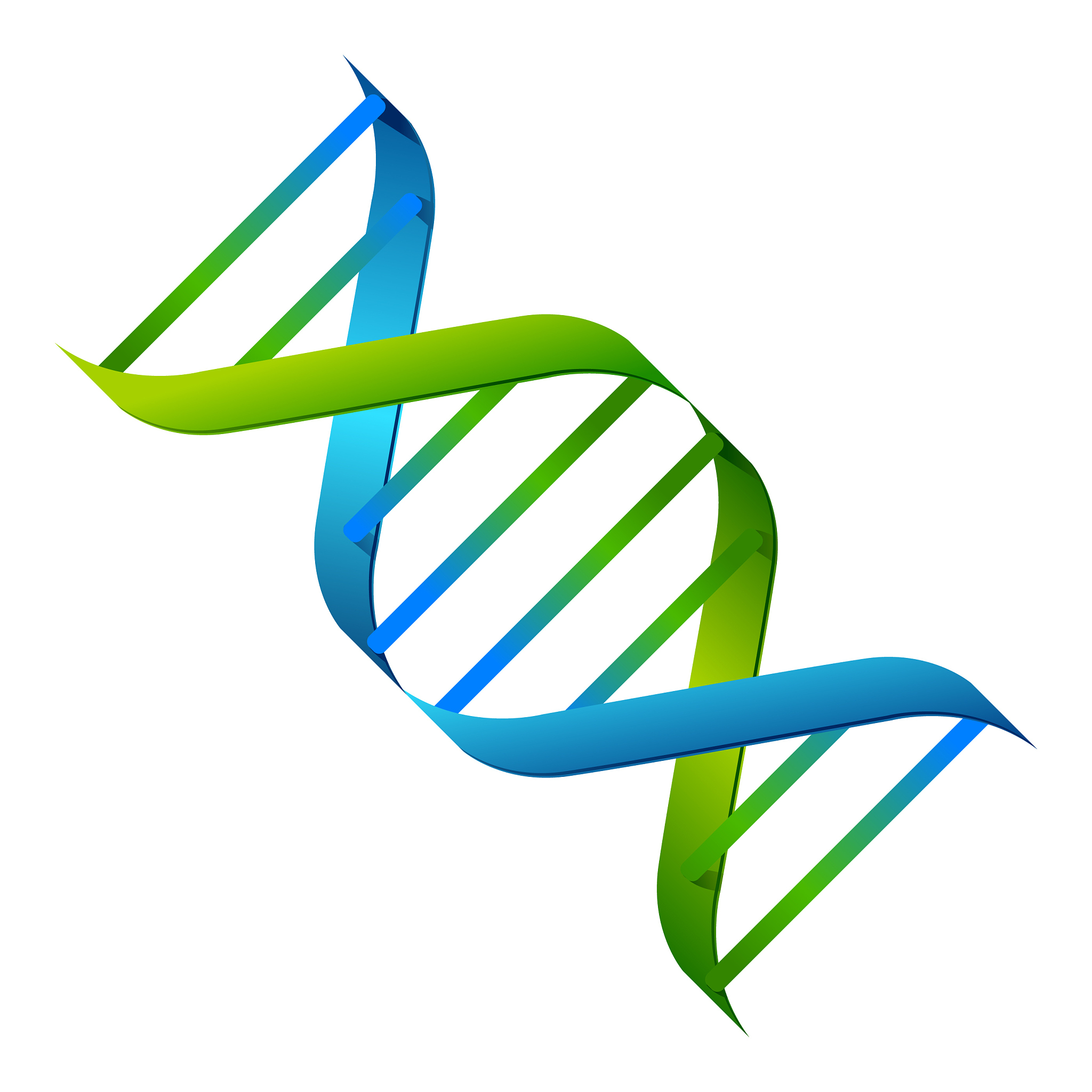江西生物科技职业学院商务英语专业怎么样