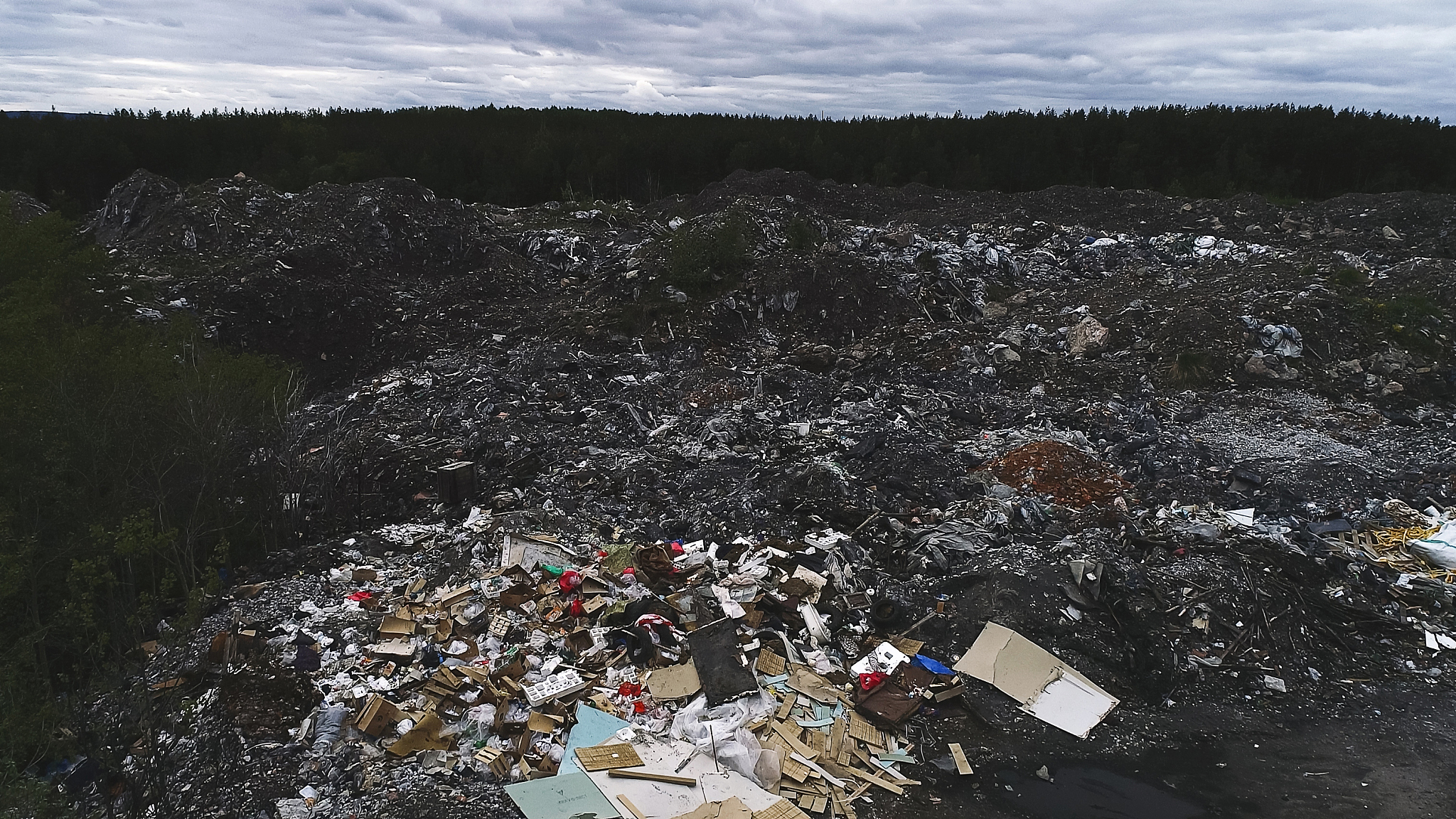 I feel like us humans are ruining the earth and there is not much time left We’ve already caused irreversible damage to forests coral reefs and many species of animals such as whales birds butterflie