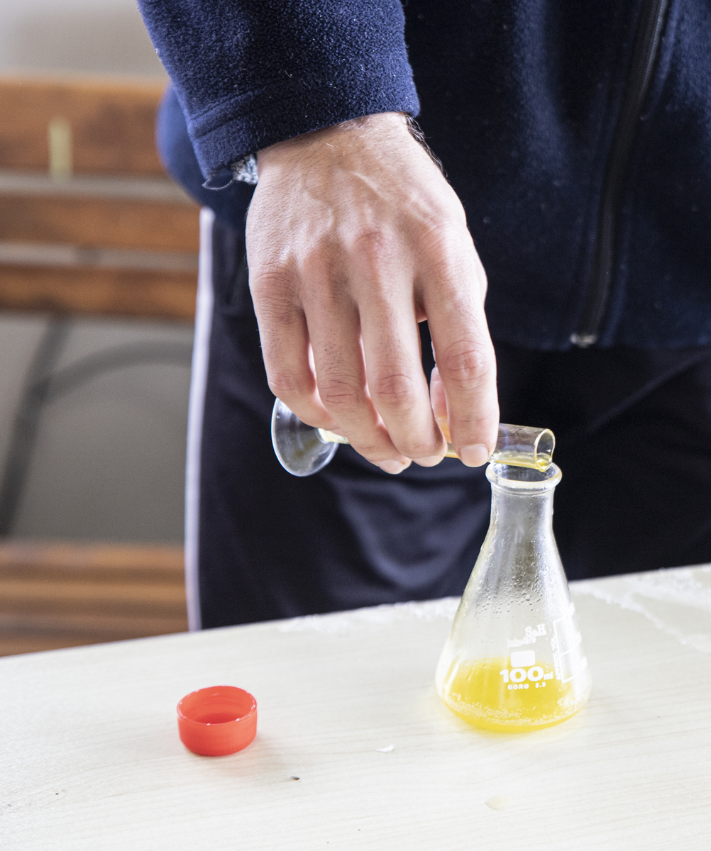 科学小实验作文胆小的胡椒粉