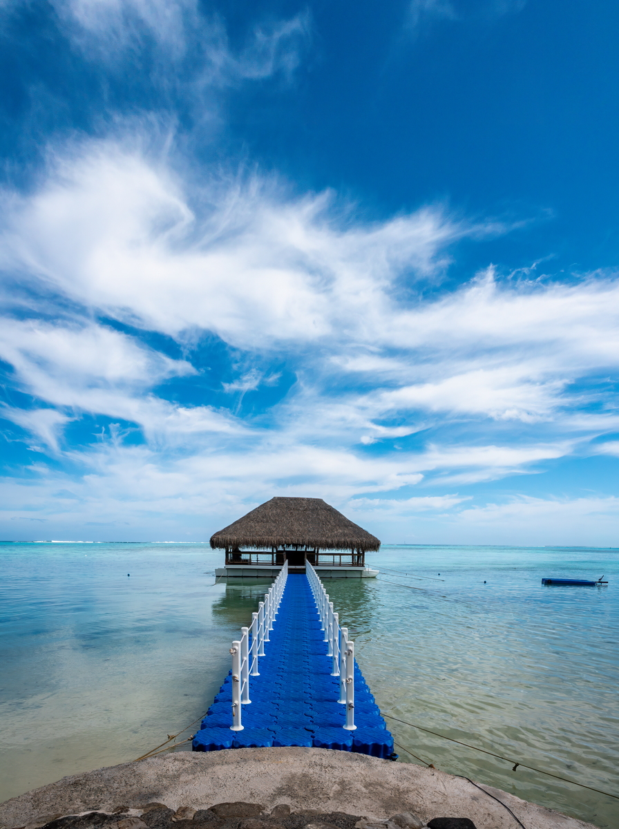 我与海的奇妙缘分：一篇关于海洋的感悟