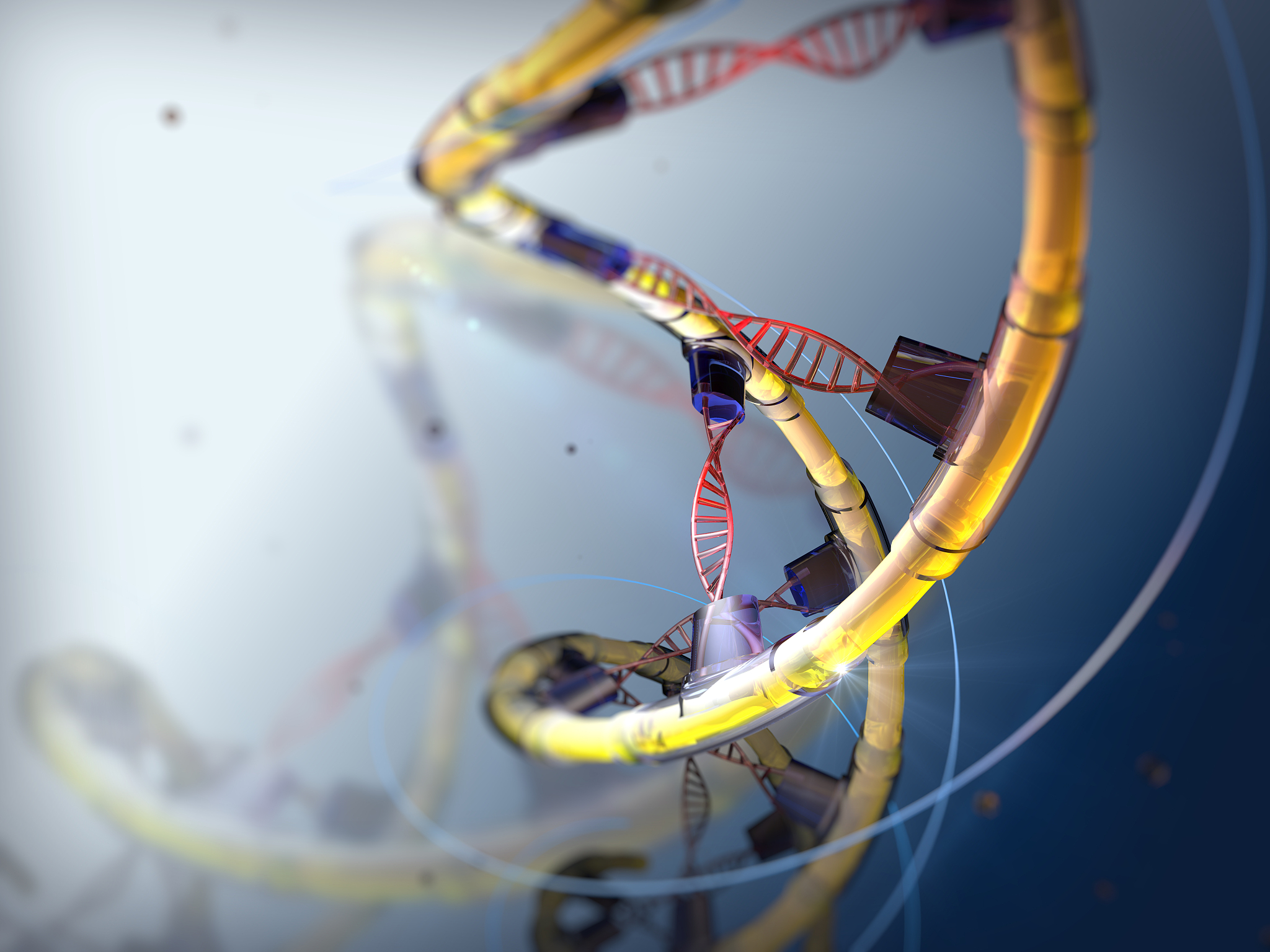 DNA的作用：存储遗传信息，驱动生命演化