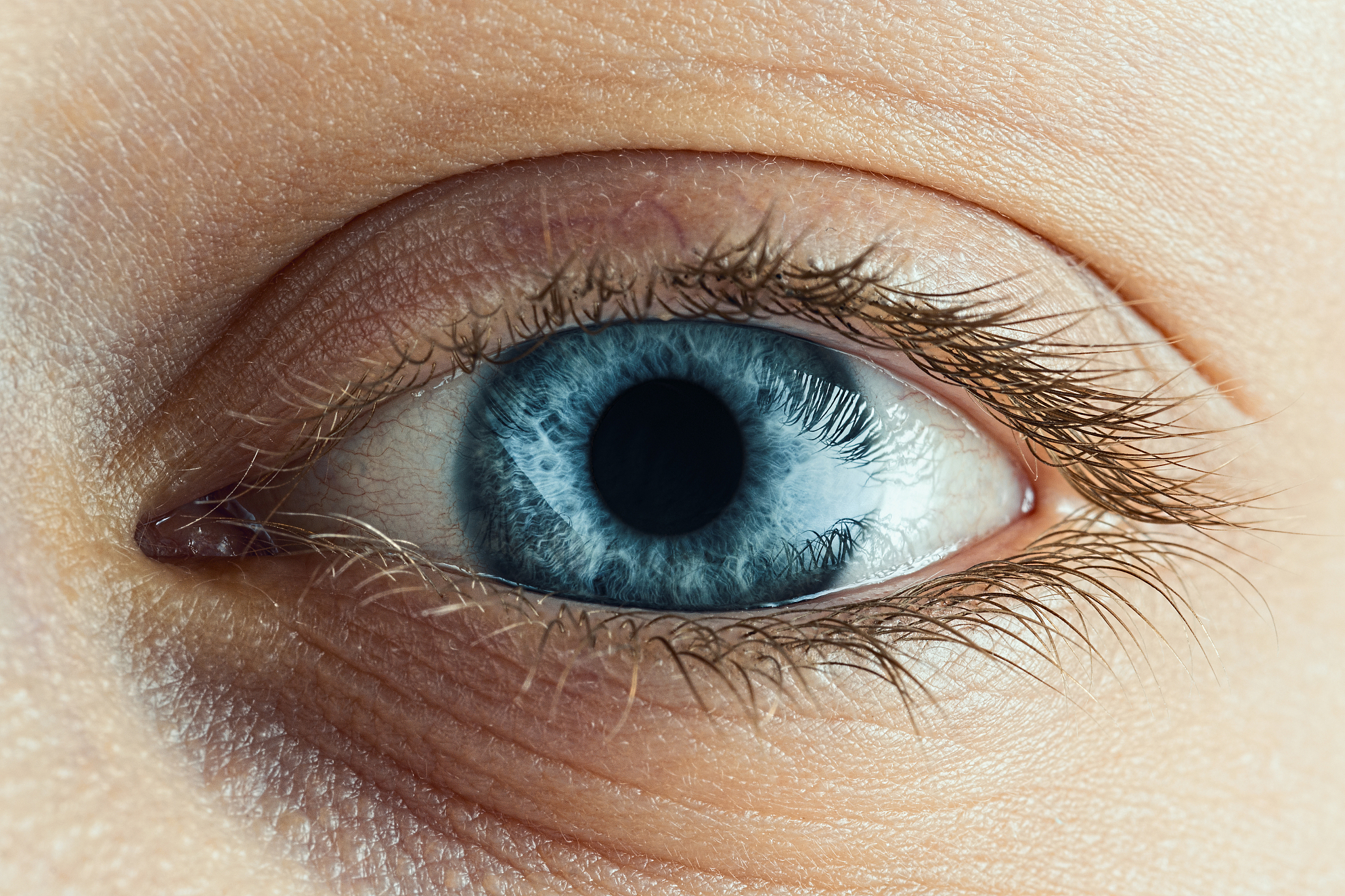 female blue eye with long lashes close up.