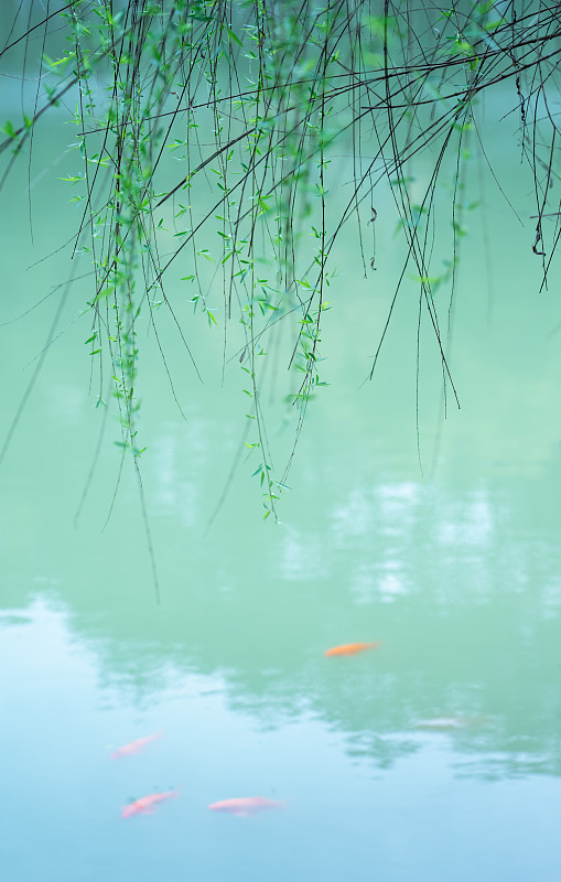'柳暗花明'藏头诗一首，感受诗意盎然的春景