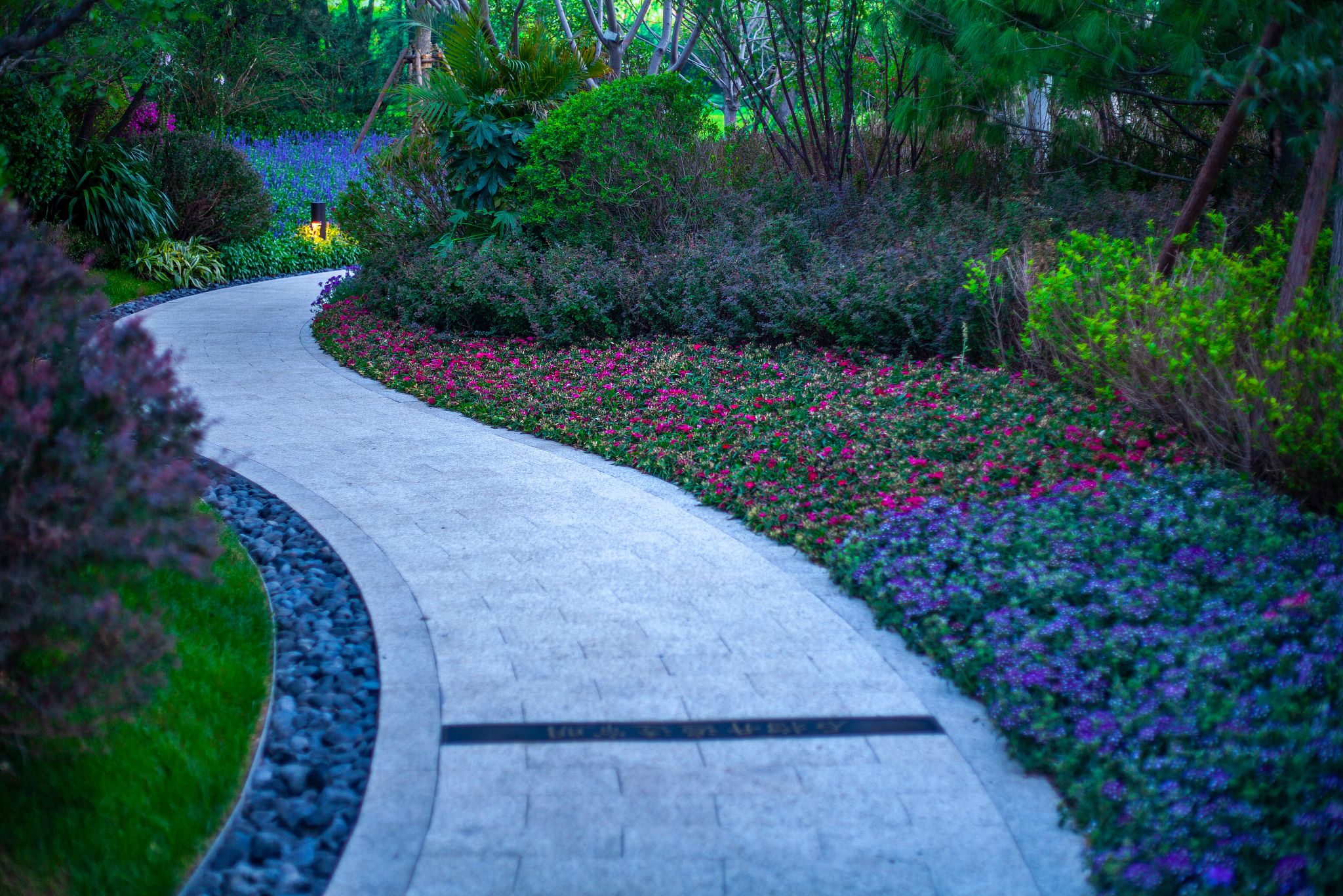 濮阳职业技术学院园艺技术专业怎么样好学吗怎么样