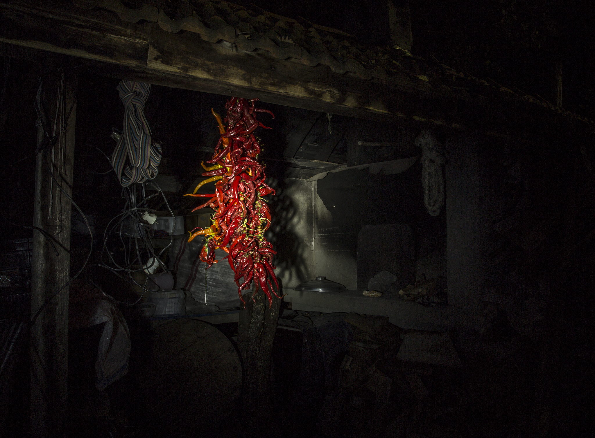 恐怖冰淇淋1手游更新日志：全新恐怖世界等你挑战！