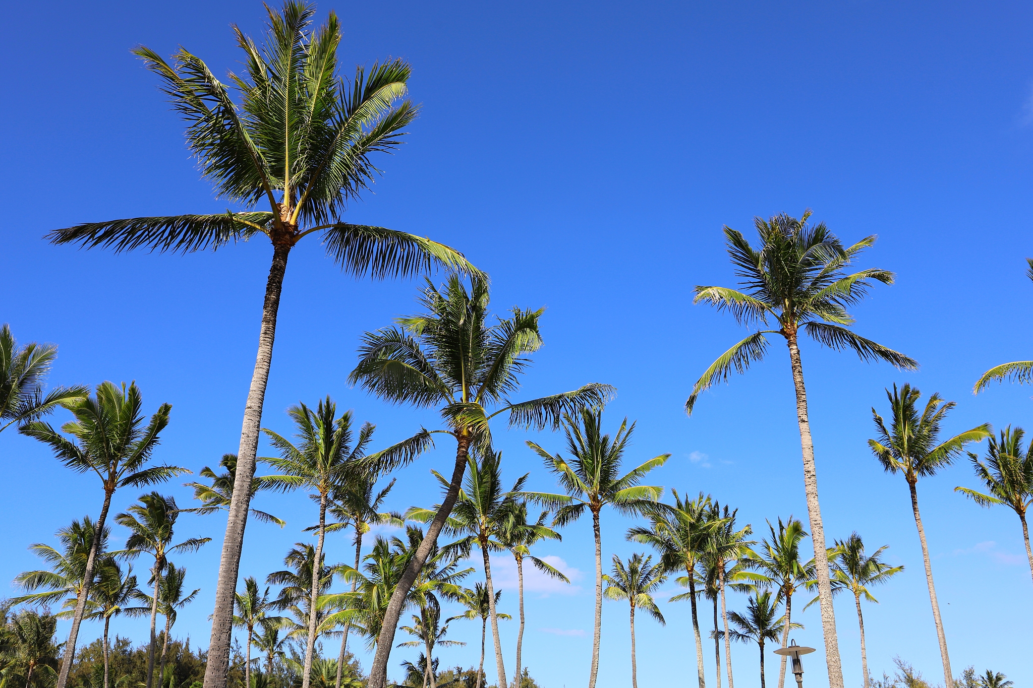 泸州树风职高2020年招生简章 - 优质教育，成就未来