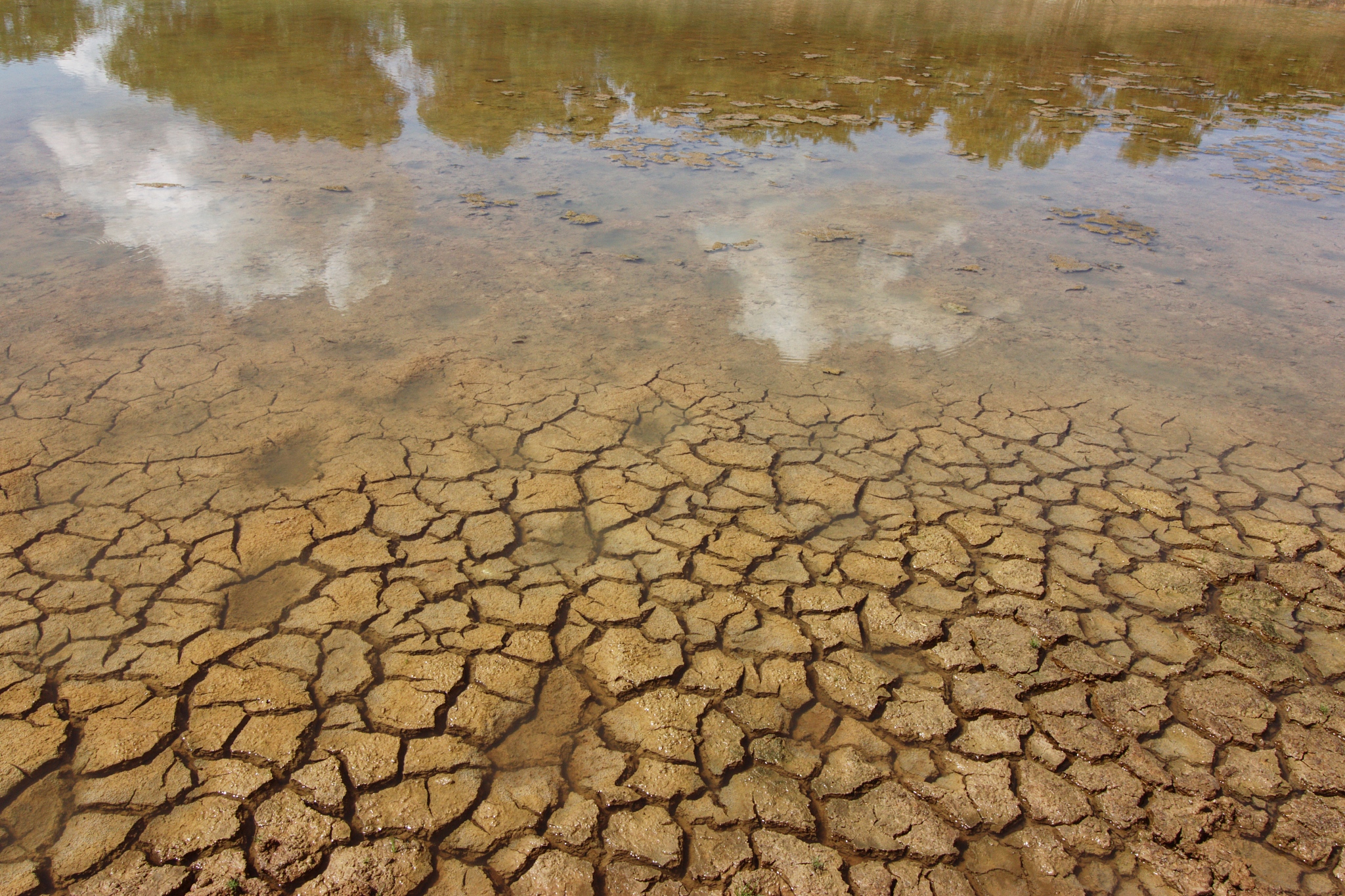 毕业论文城市热岛效应研究的国内外背景500字
