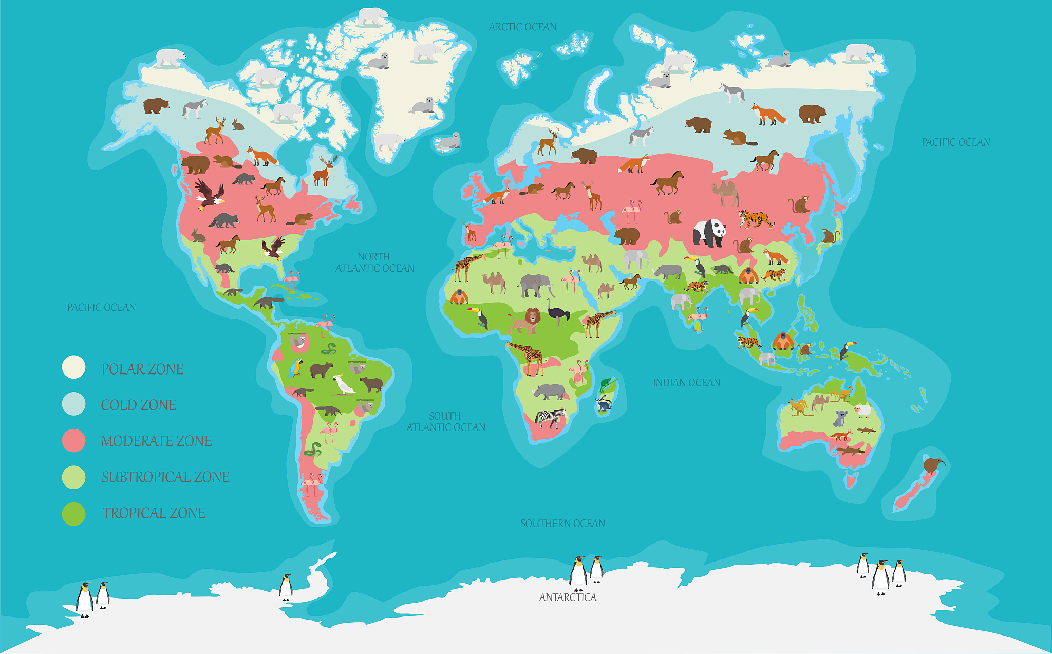 world map climate zone and animal