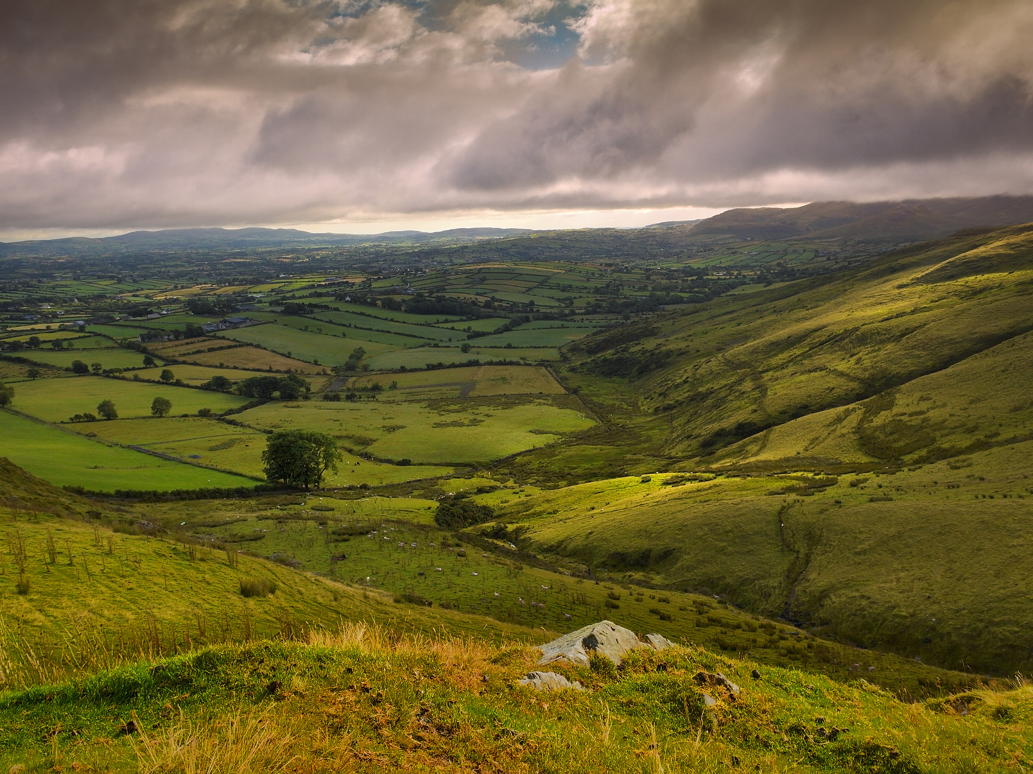 pools of light in the valley