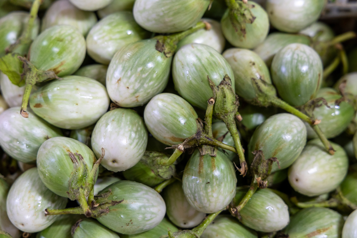 云南苦果的功效与作用：健胃消食、降血糖、清热解毒等