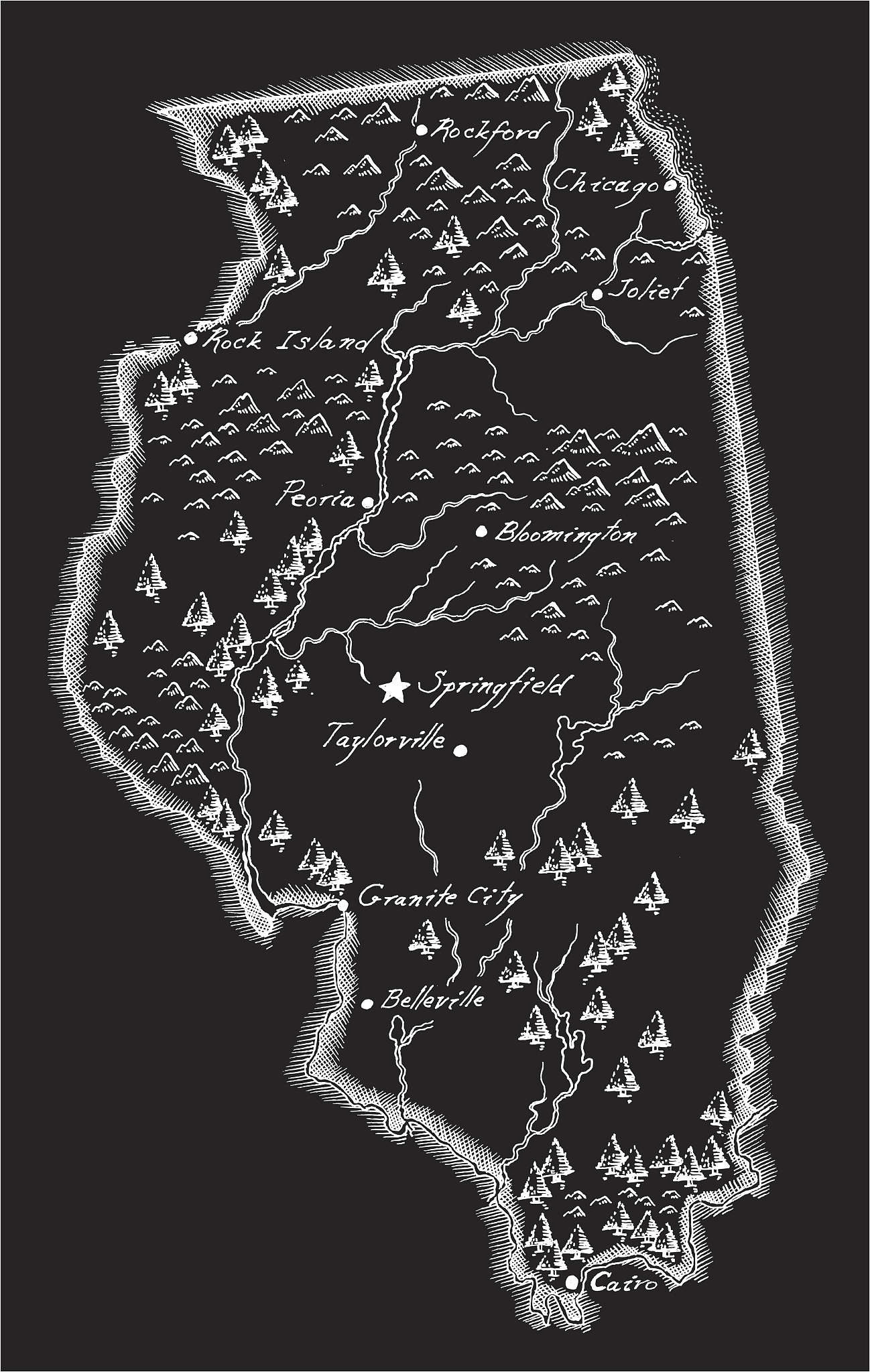 antique illinois map