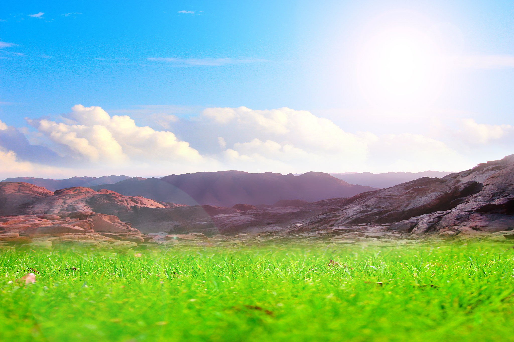 meadow and sky