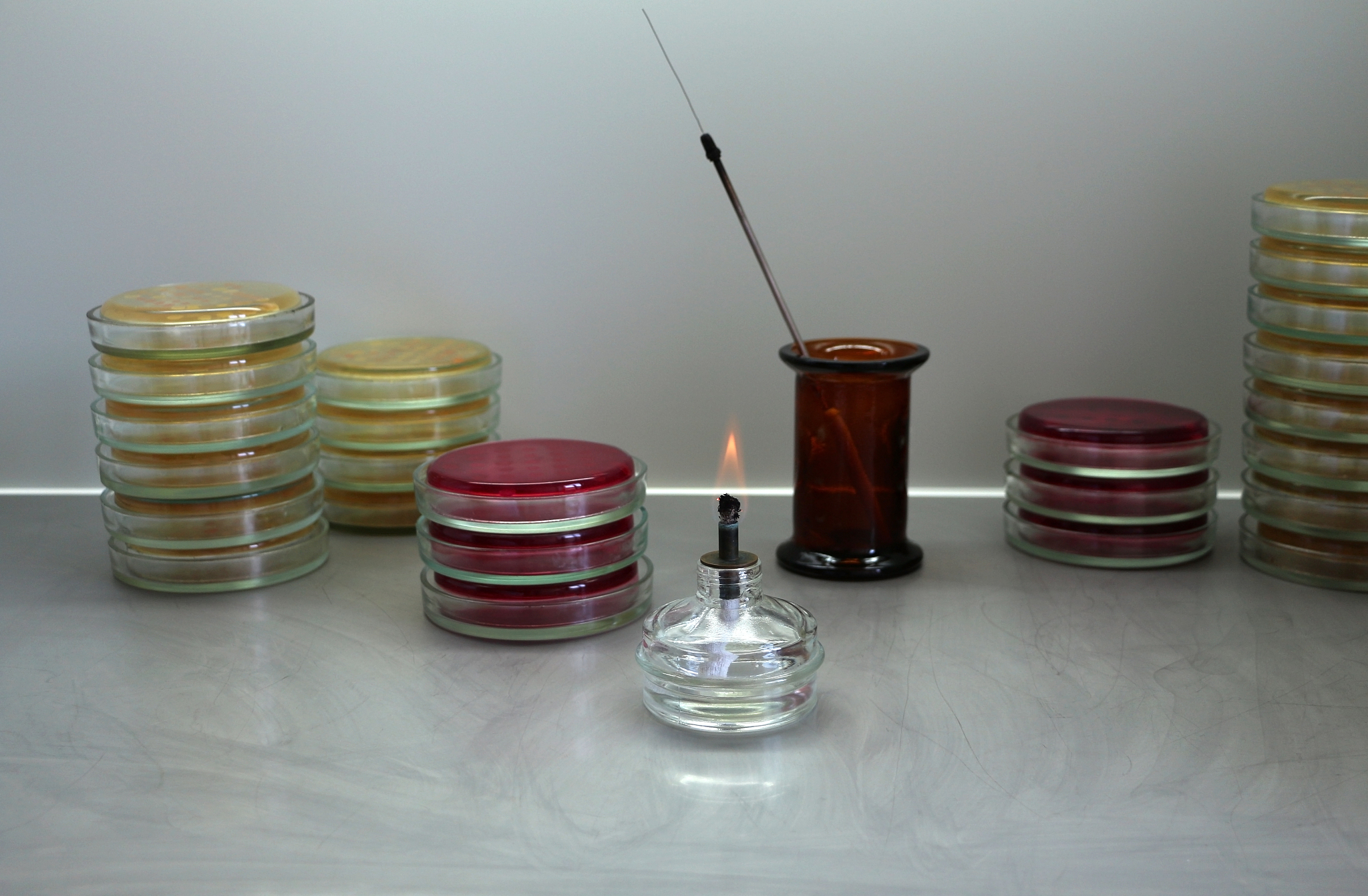 生物安全维护指南：保障健康、环境和经济