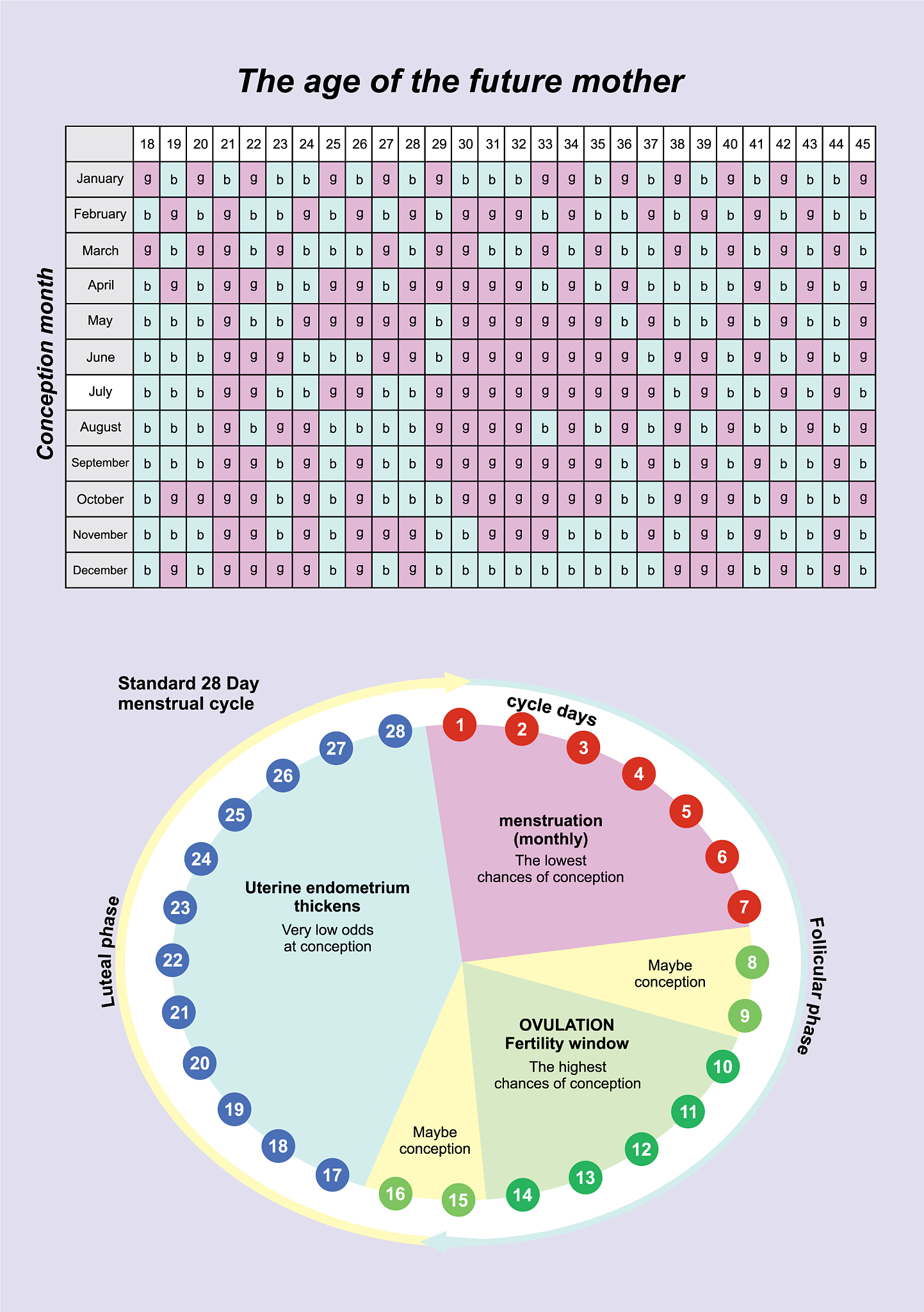 随机生成100个血型