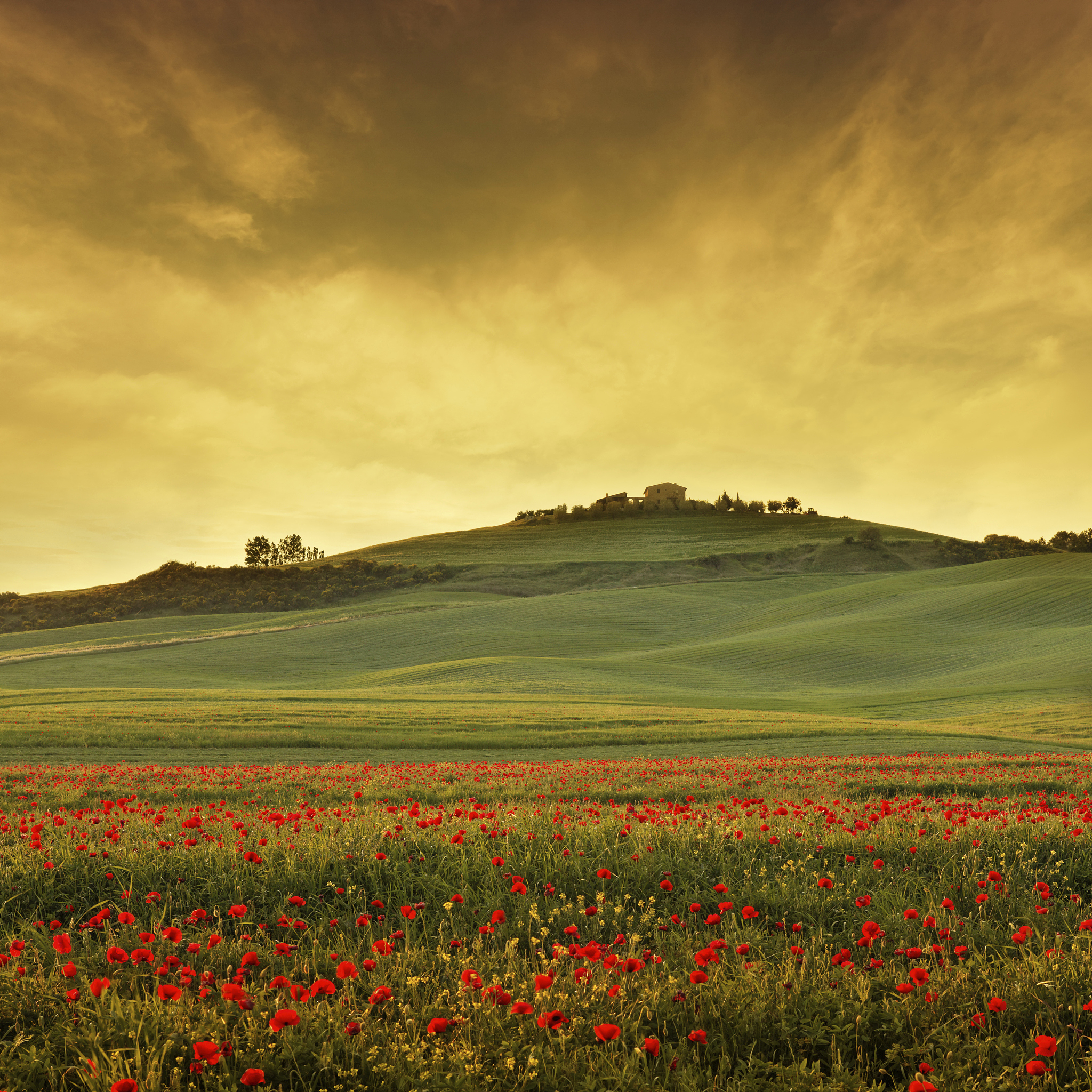 以《晴天》为题目写一篇作文800字