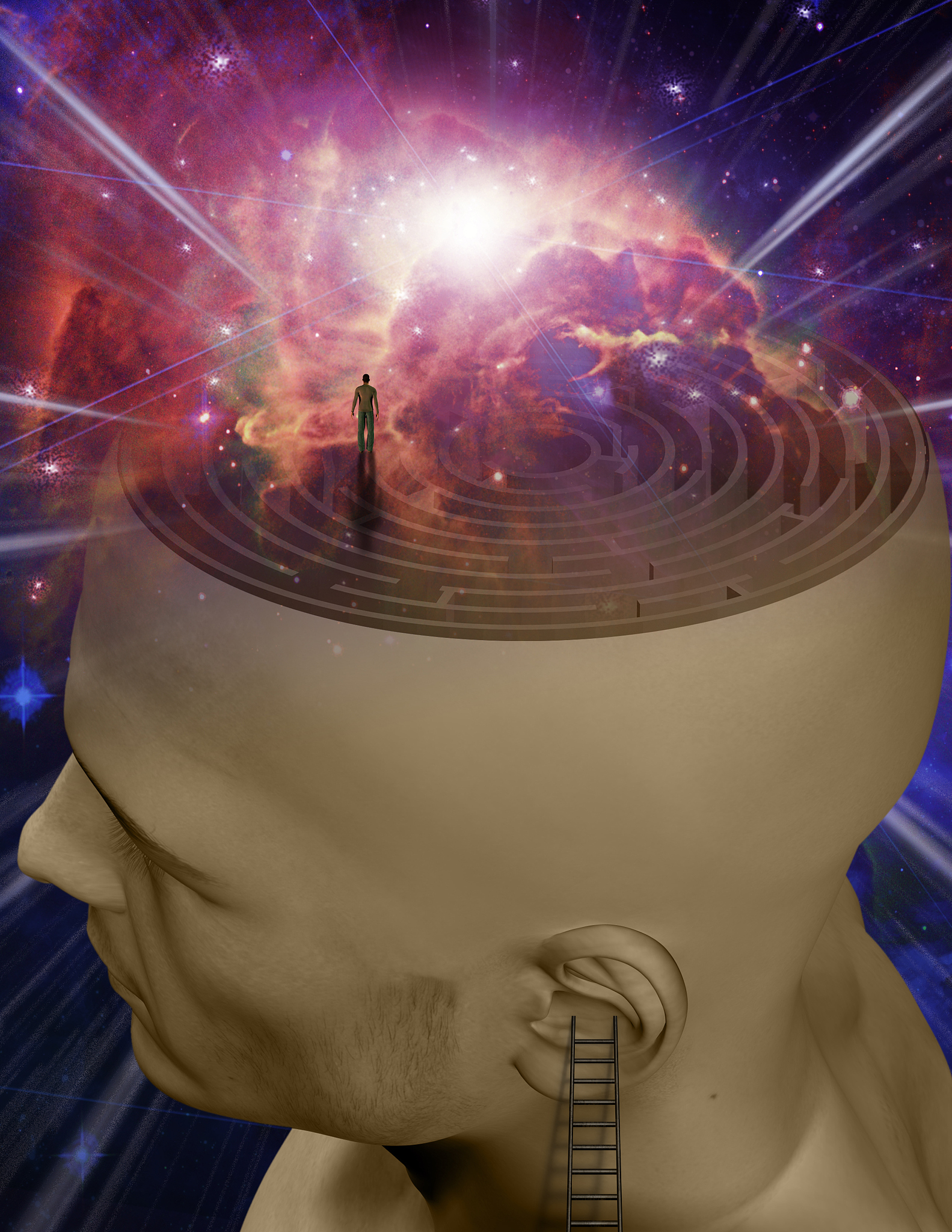 梦境奇幻之旅：揭秘梦境的神奇与离谱