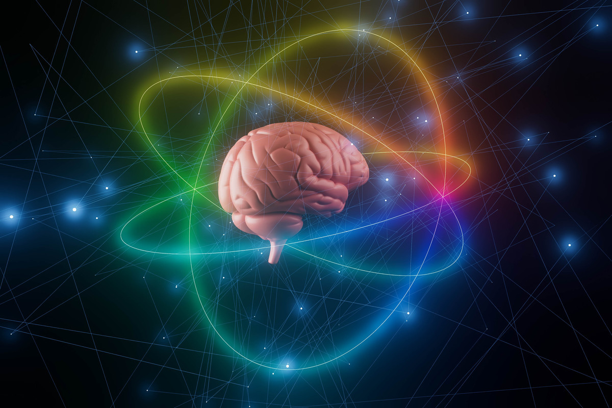 认知科学 vs 神经科学：区别与联系 - 探索人类思维与大脑的奥秘
