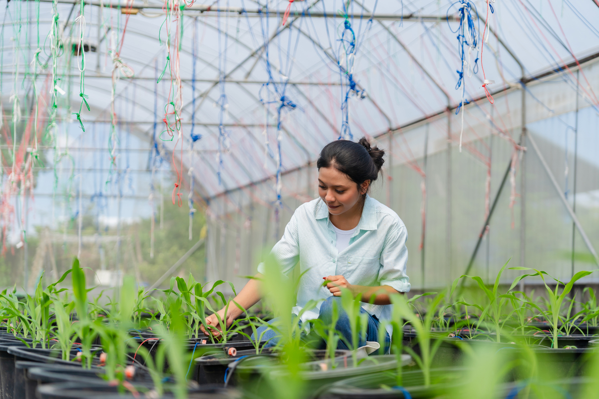农业研学基地介绍