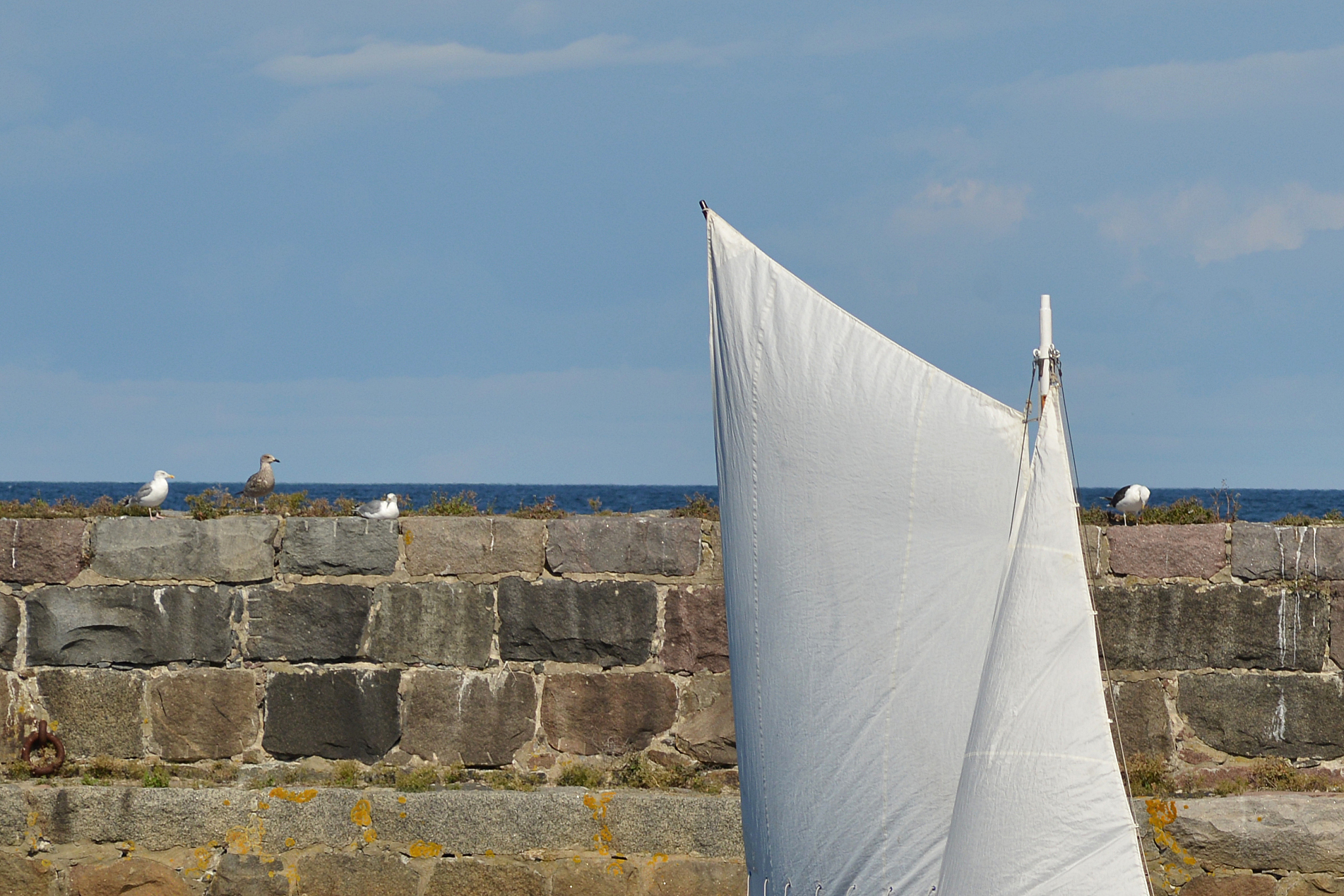 2x4 Meter Sun Sail Reviews: 5 Reasons Why It's a Great Choice
