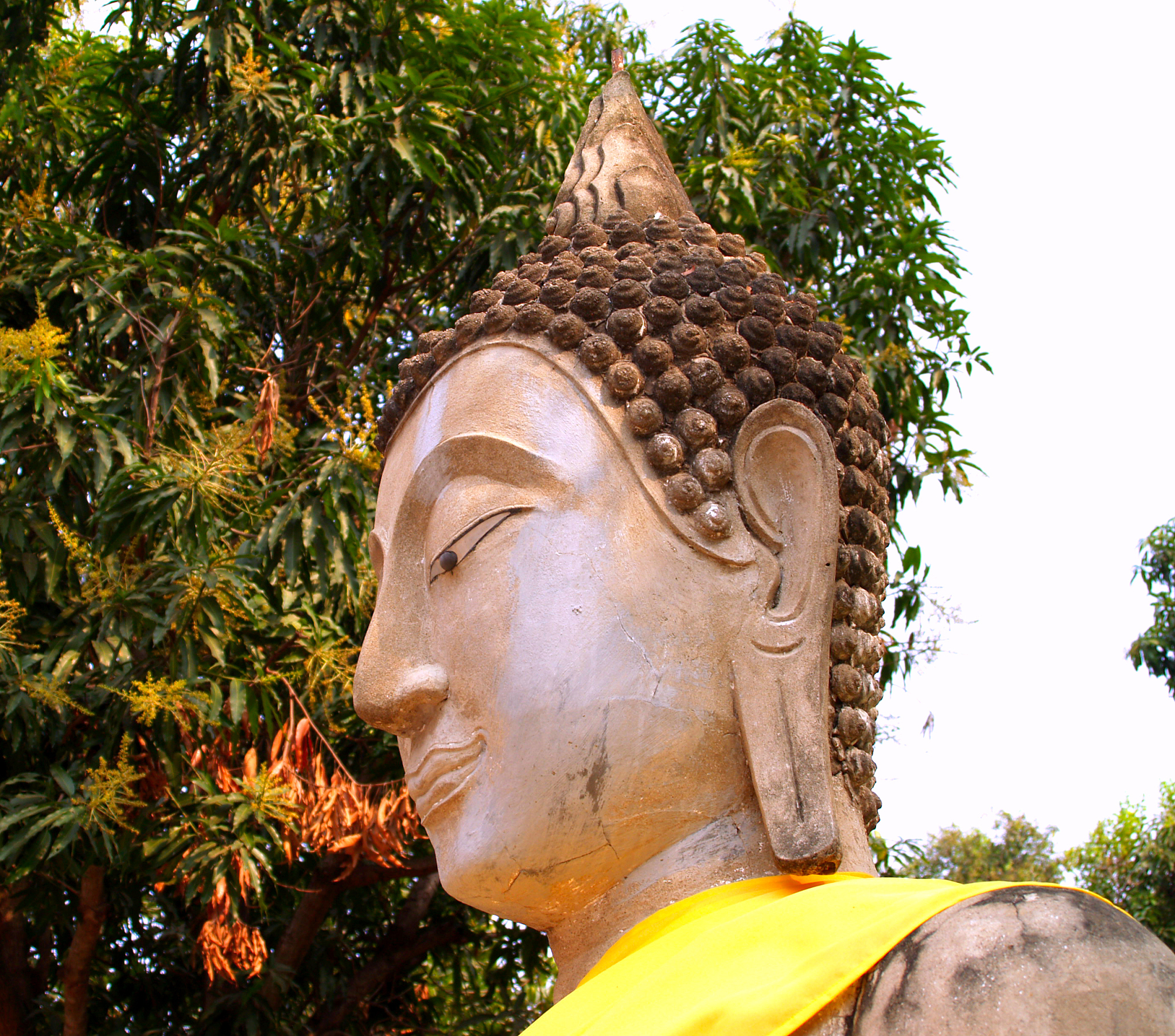temple of ayuthaya, thailand