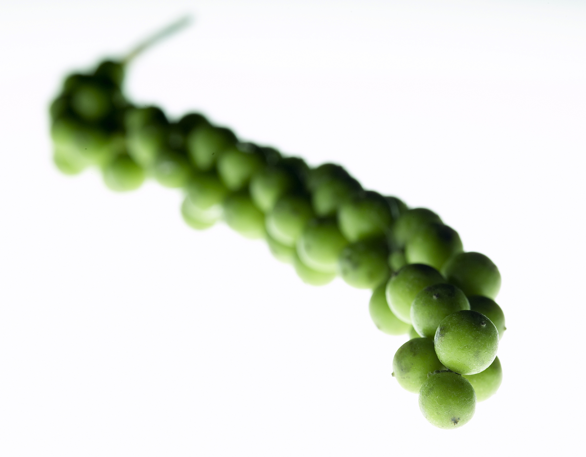 保定卫校2023年招生专业及发展前景