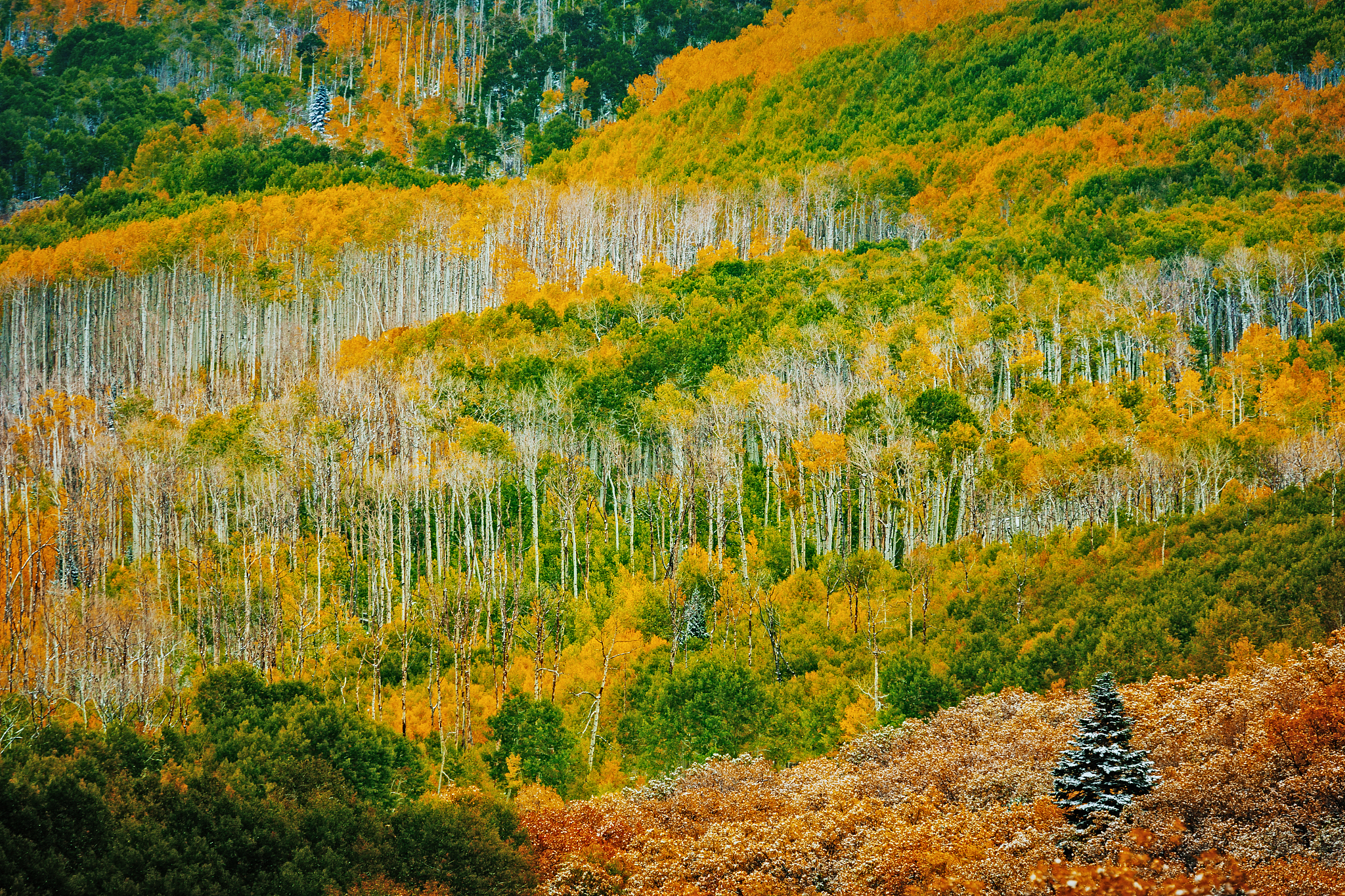 秋天的山色：金黄、橙红、深蓝的梦幻画卷