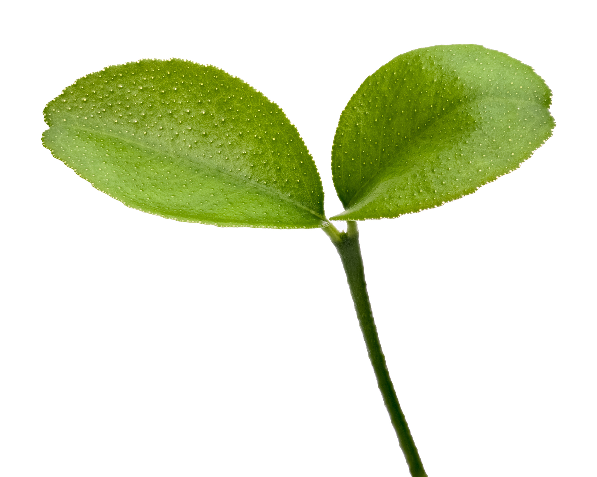  0