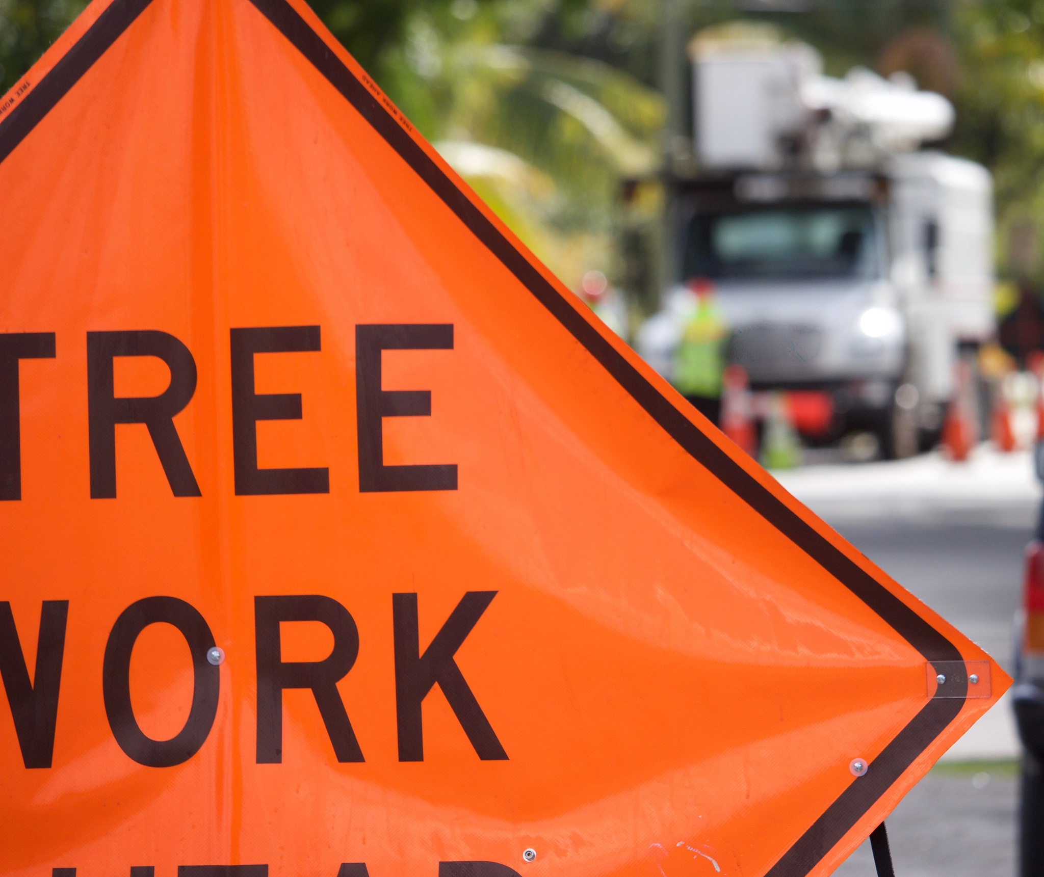 保险职业学院应用英语专业：发展前景与就业机会