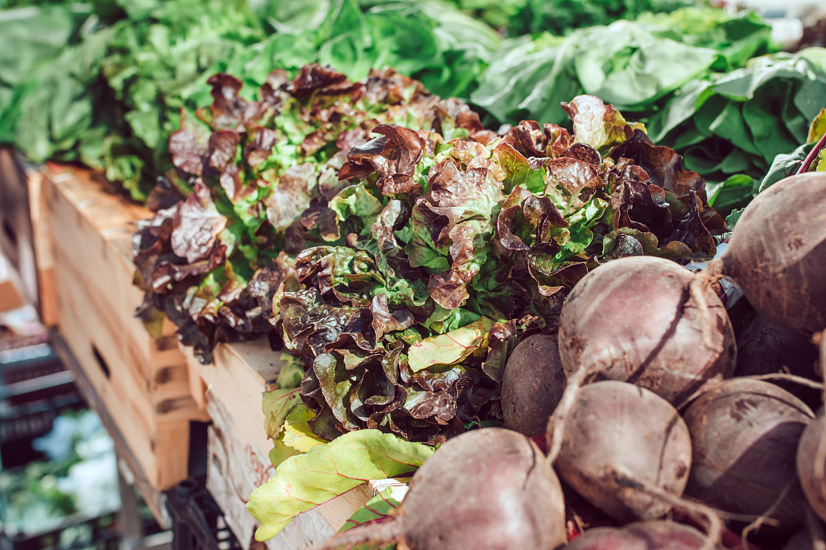 宁夏中专学校市场营销专业培养目标