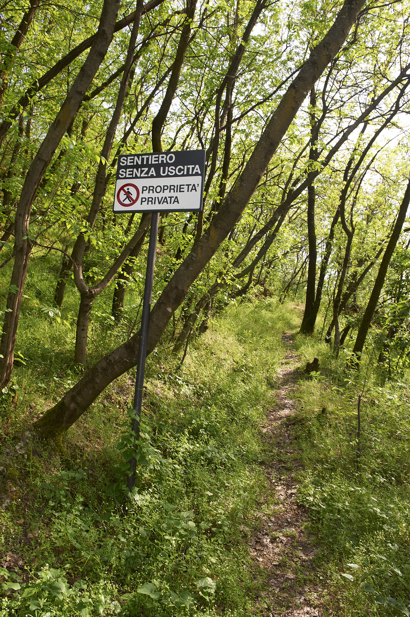 输入一个标准中缀式保证每个运算数都是一位数输出其后缀形式。输入1+2输出12+ cpp code