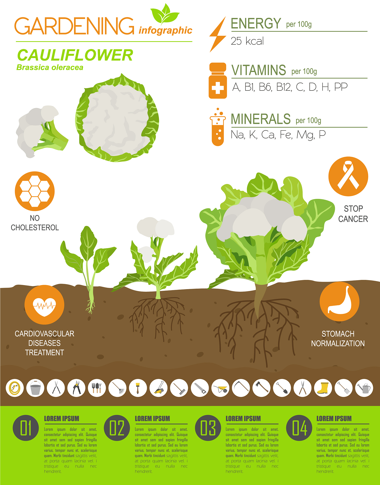 植被覆盖达到一定程度时会影响土壤的水分、养分和气体交换导致土壤酸碱度上升的文献来源