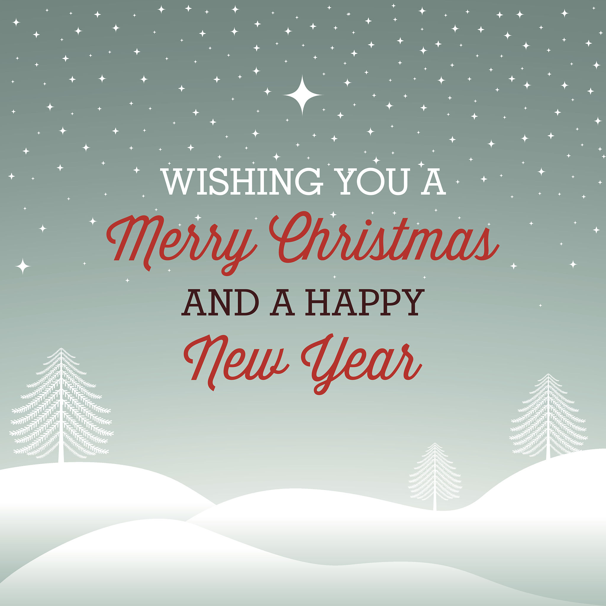 Rainfall Relieves Drought, Benefits Winter Wheat Growth